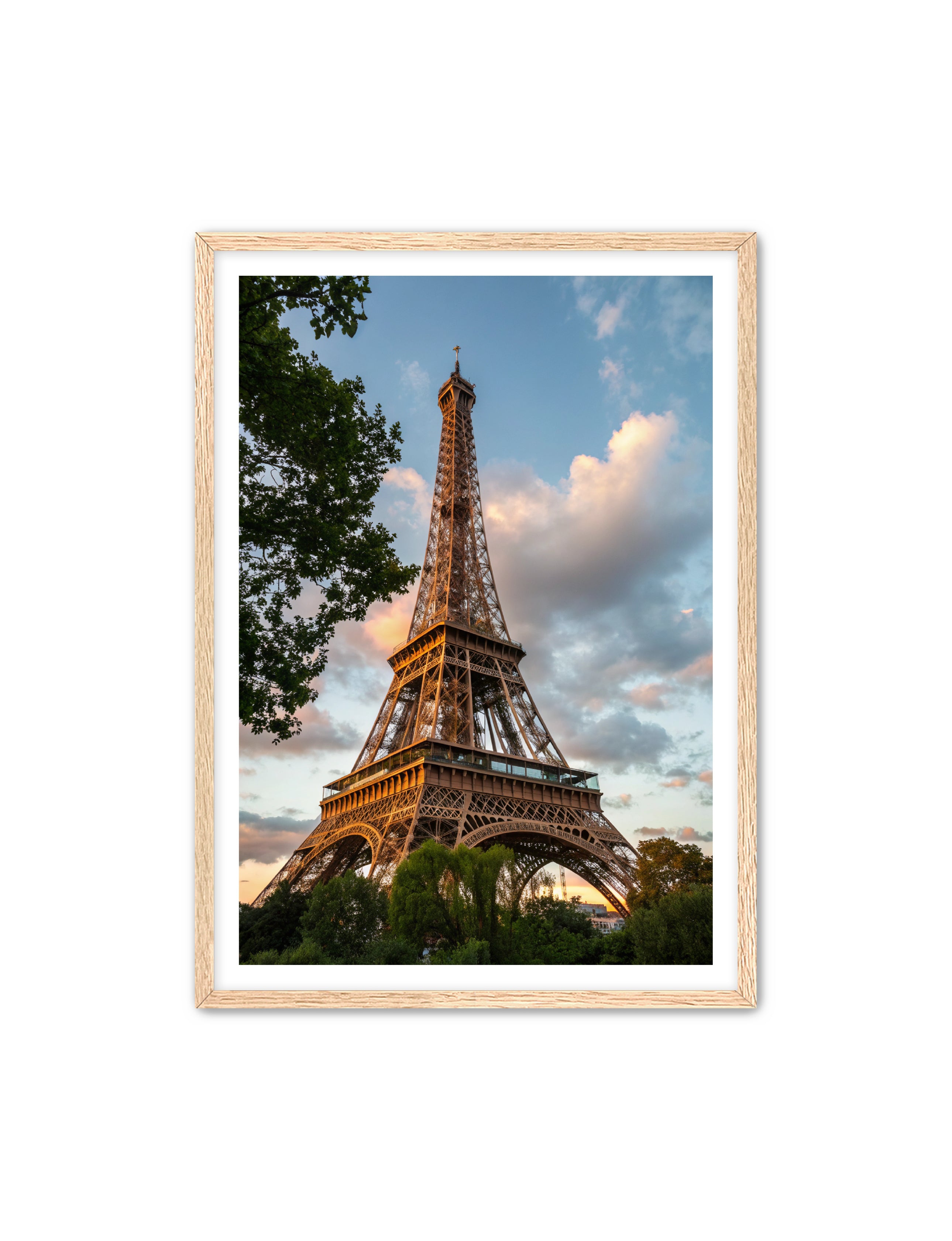 Apricus Prints 'Paris Bloom' Apricus Art Collection