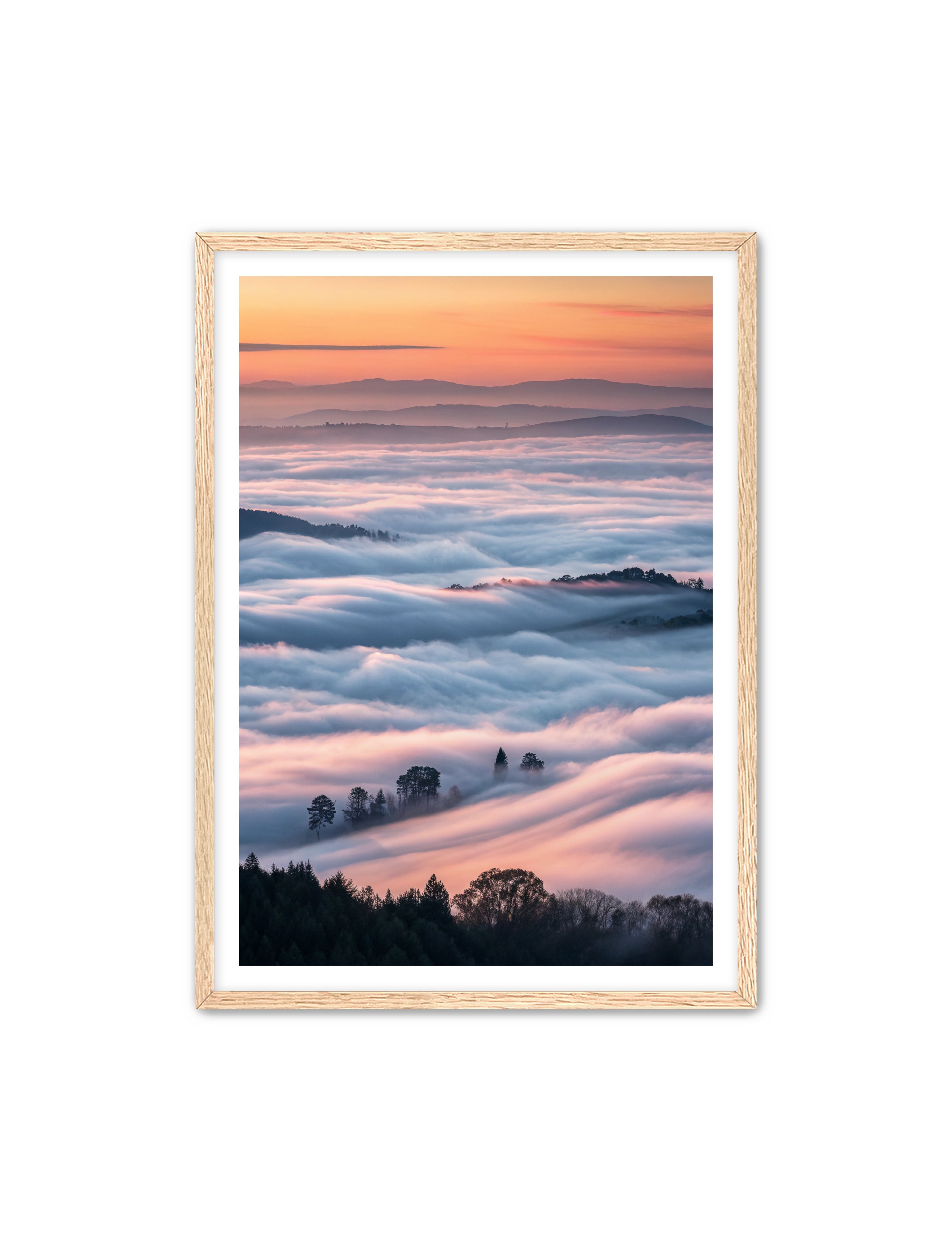 Apricus Prints 'Clouded Canopy' Apricus Art Collection