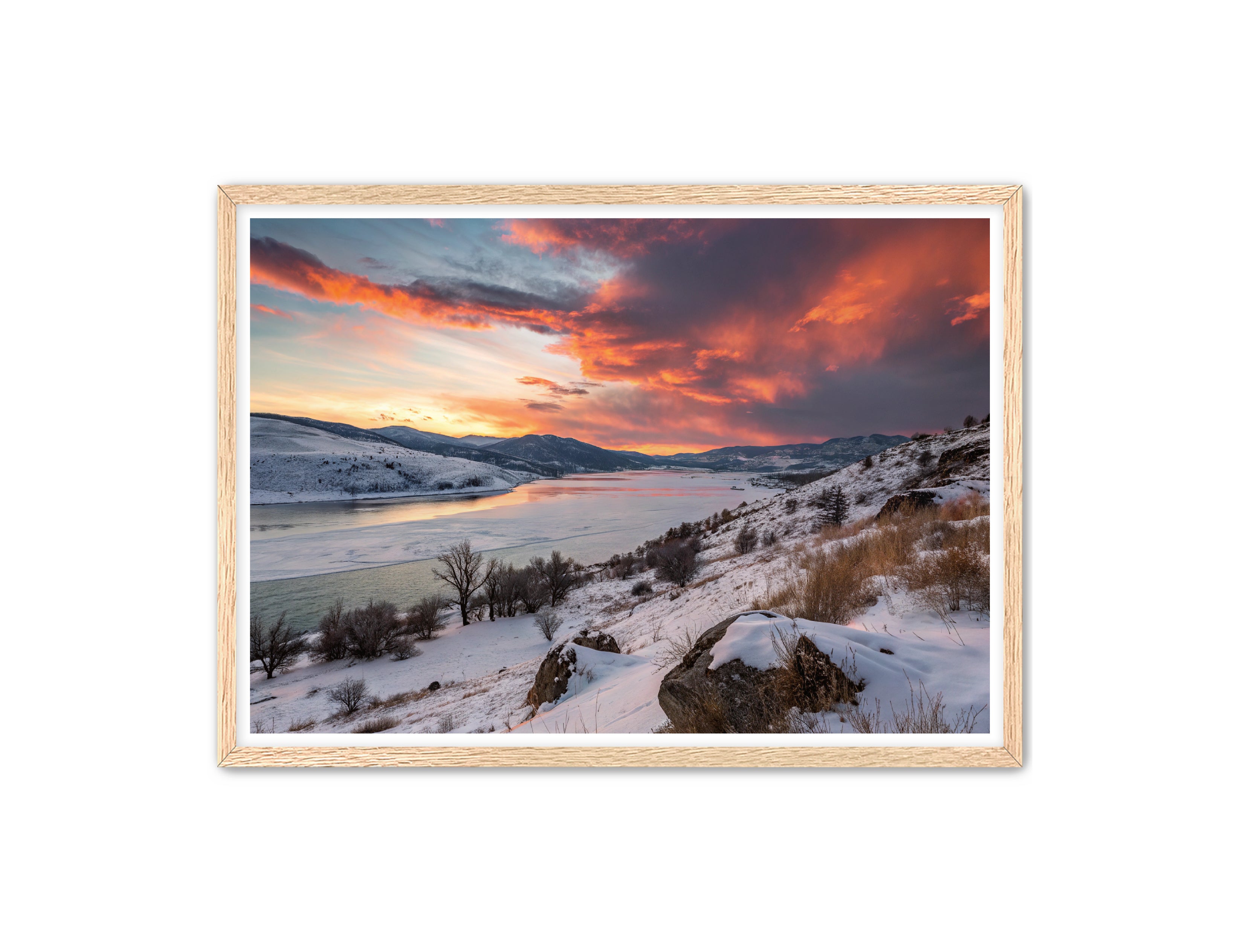 Apricus Prints 'Winter Reds' Apricus Art Collection