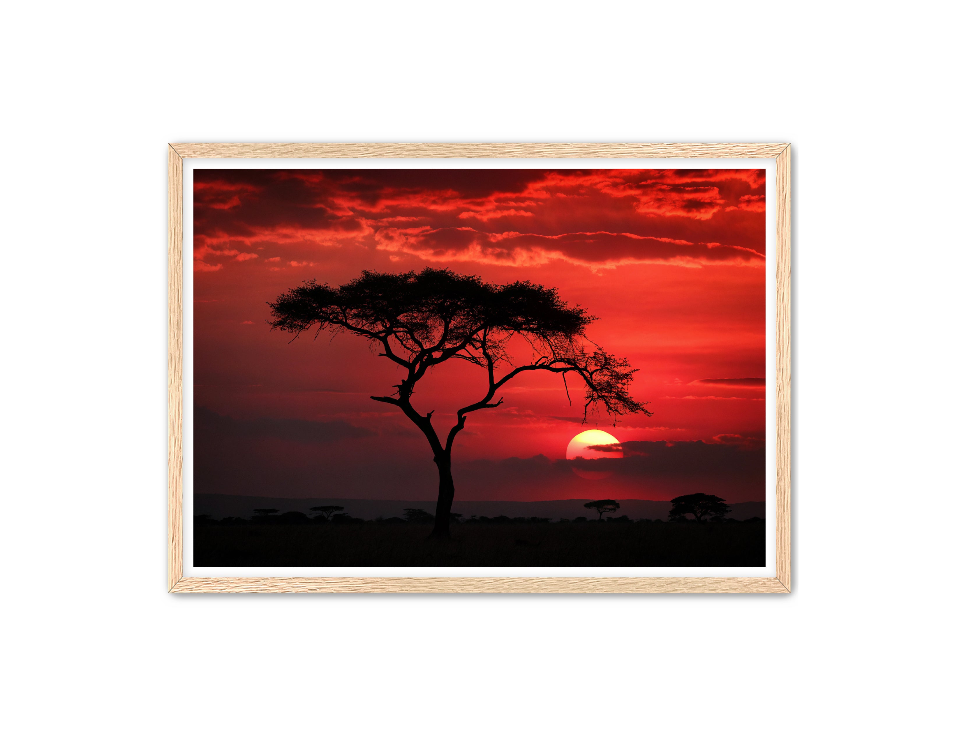 Apricus Prints 'Red Night' Apricus Art Collection