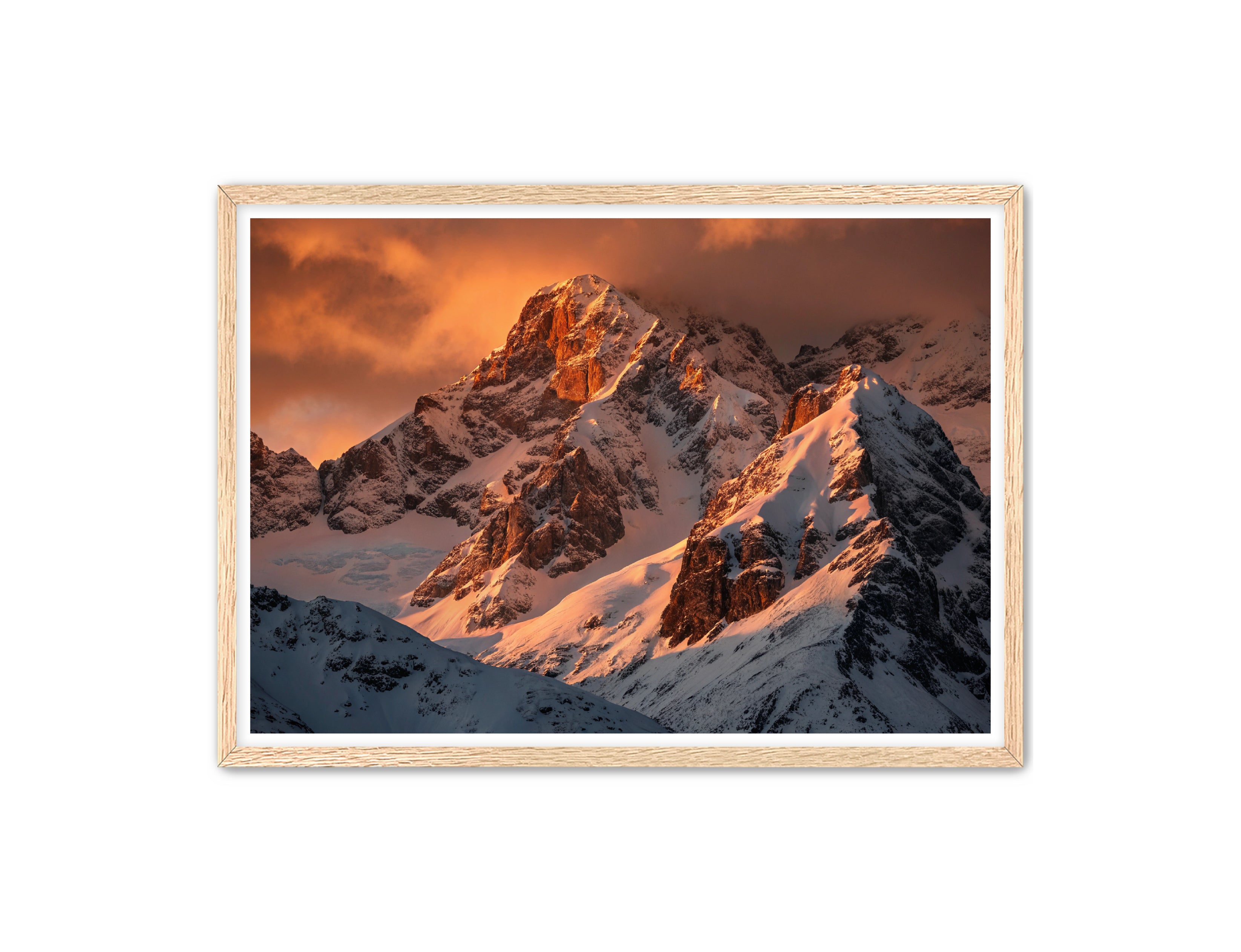 Apricus Prints 'Crimson Crown of the Himalayas' Apricus Art Collection