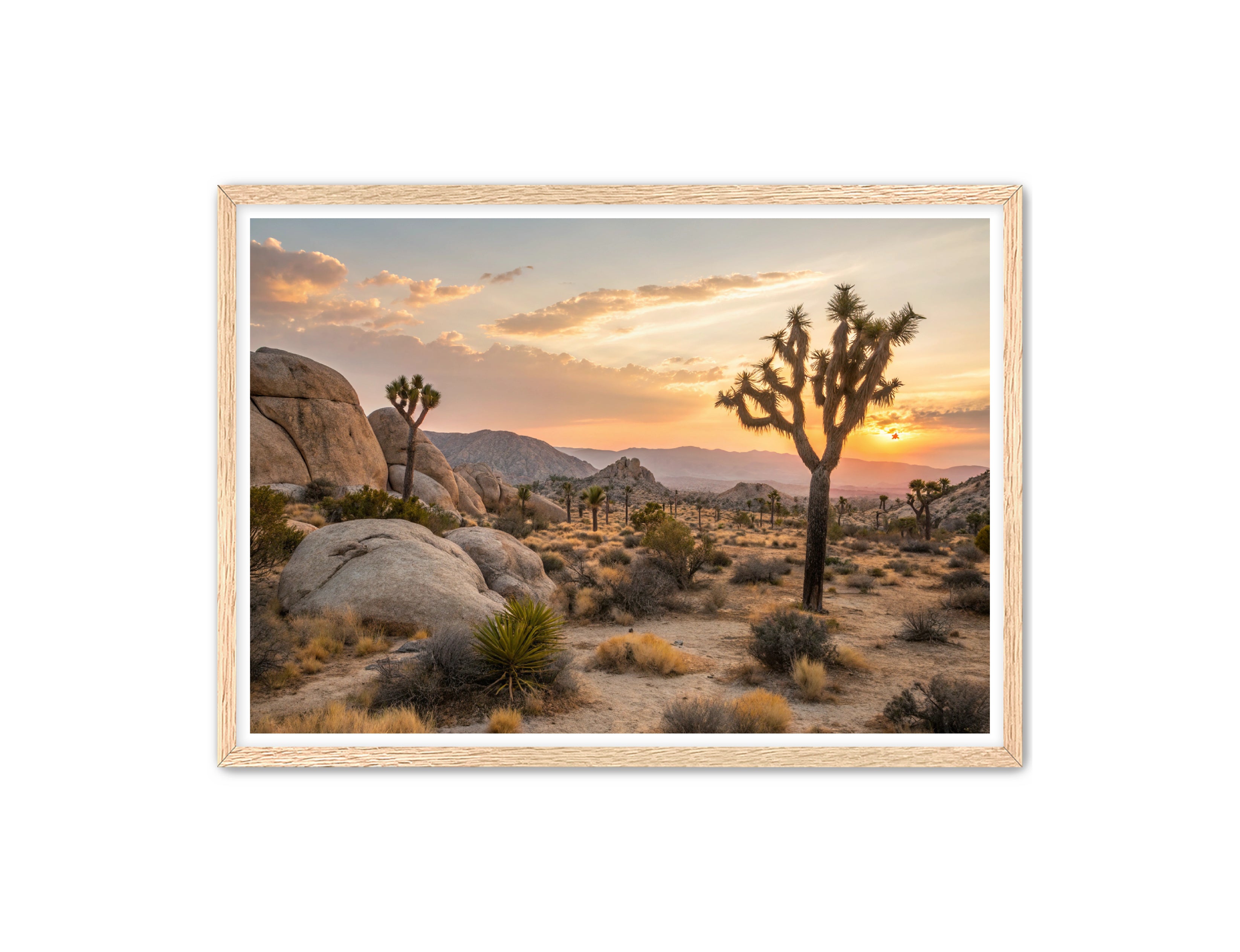 Apricus Prints 'Lost in the Landscape' Apricus Art Collection