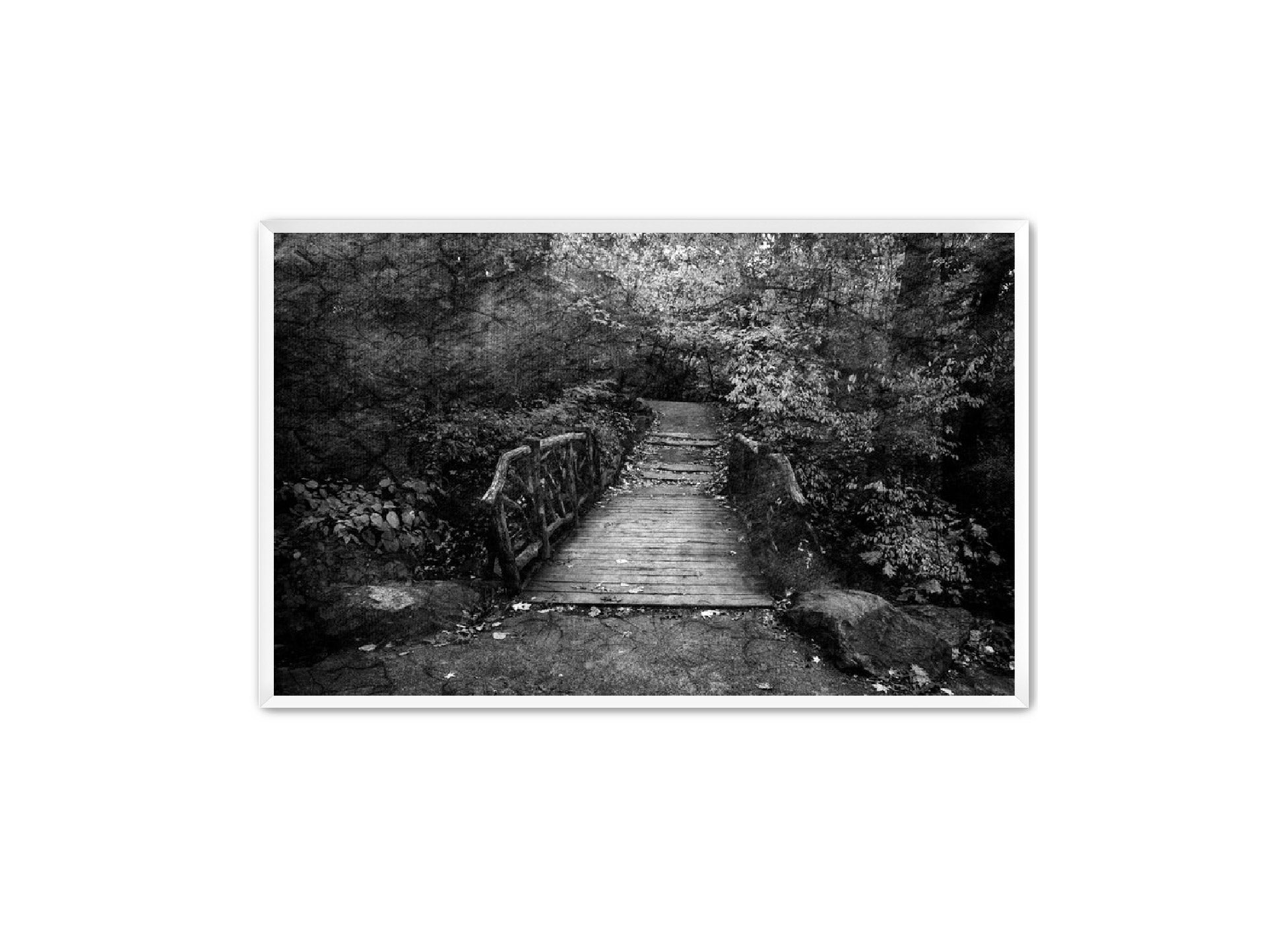 PhotoArt Prints 'PARK PATH' Danielle Neumann Kelly