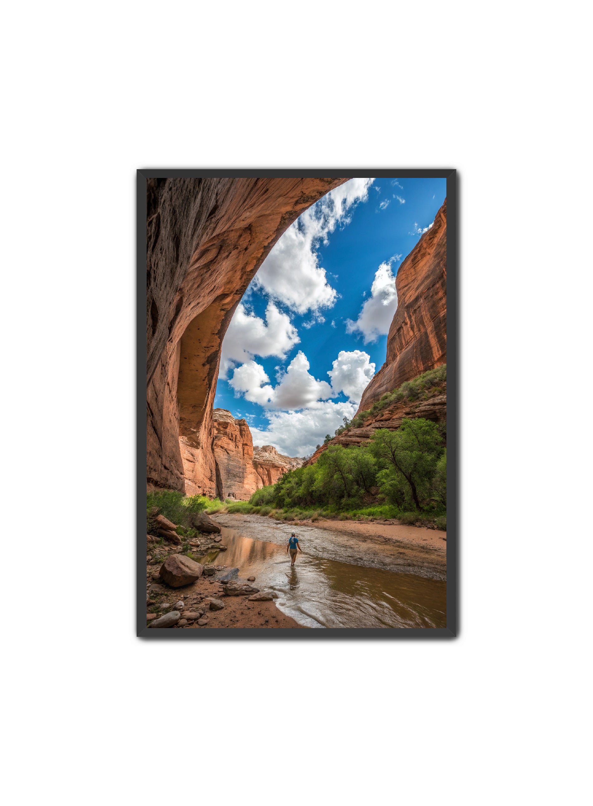 Apricus Prints 'Arches Creek' Apricus Art Collection