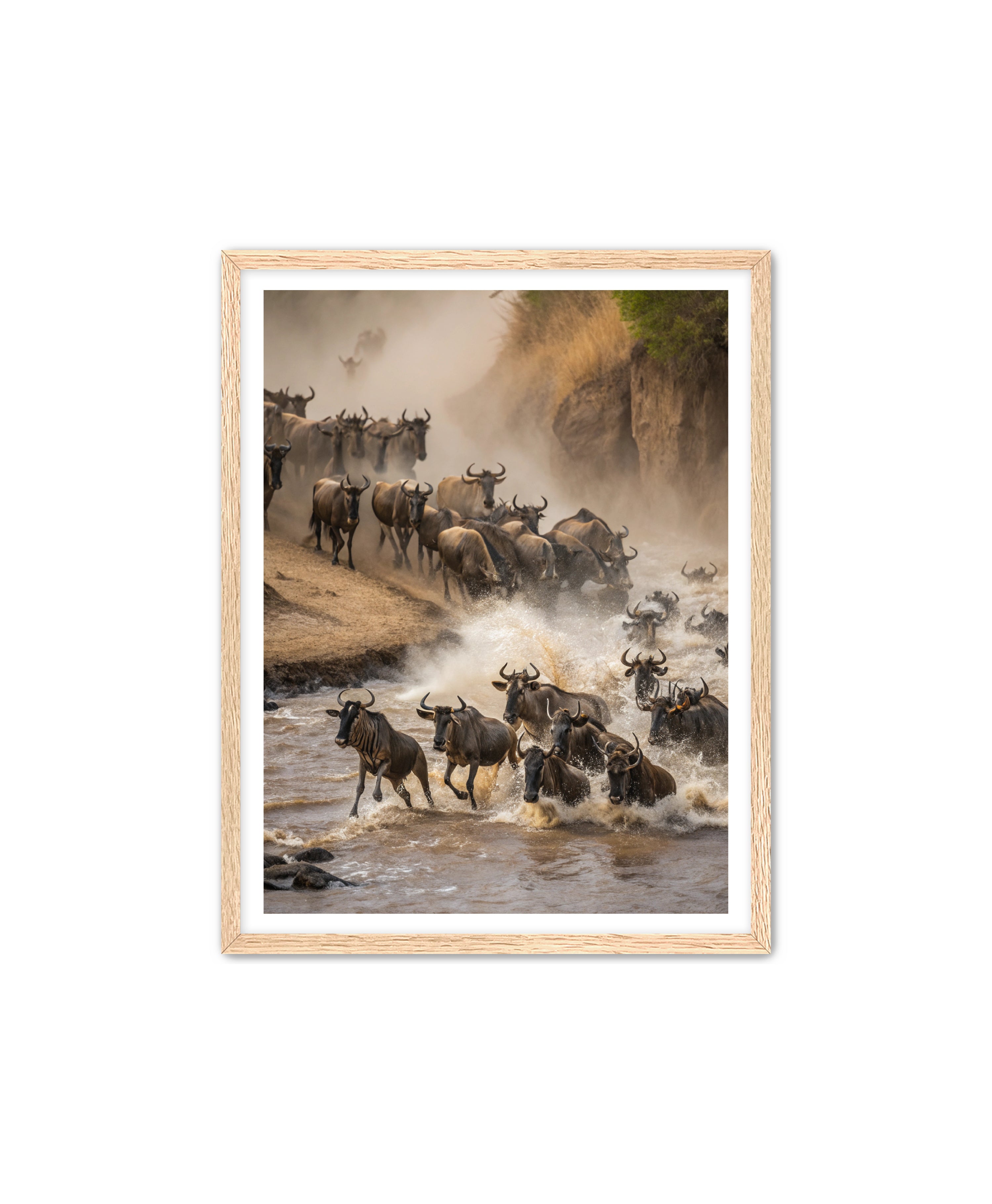 Apricus Prints 'Stampede Crossing' Apricus Art Collection