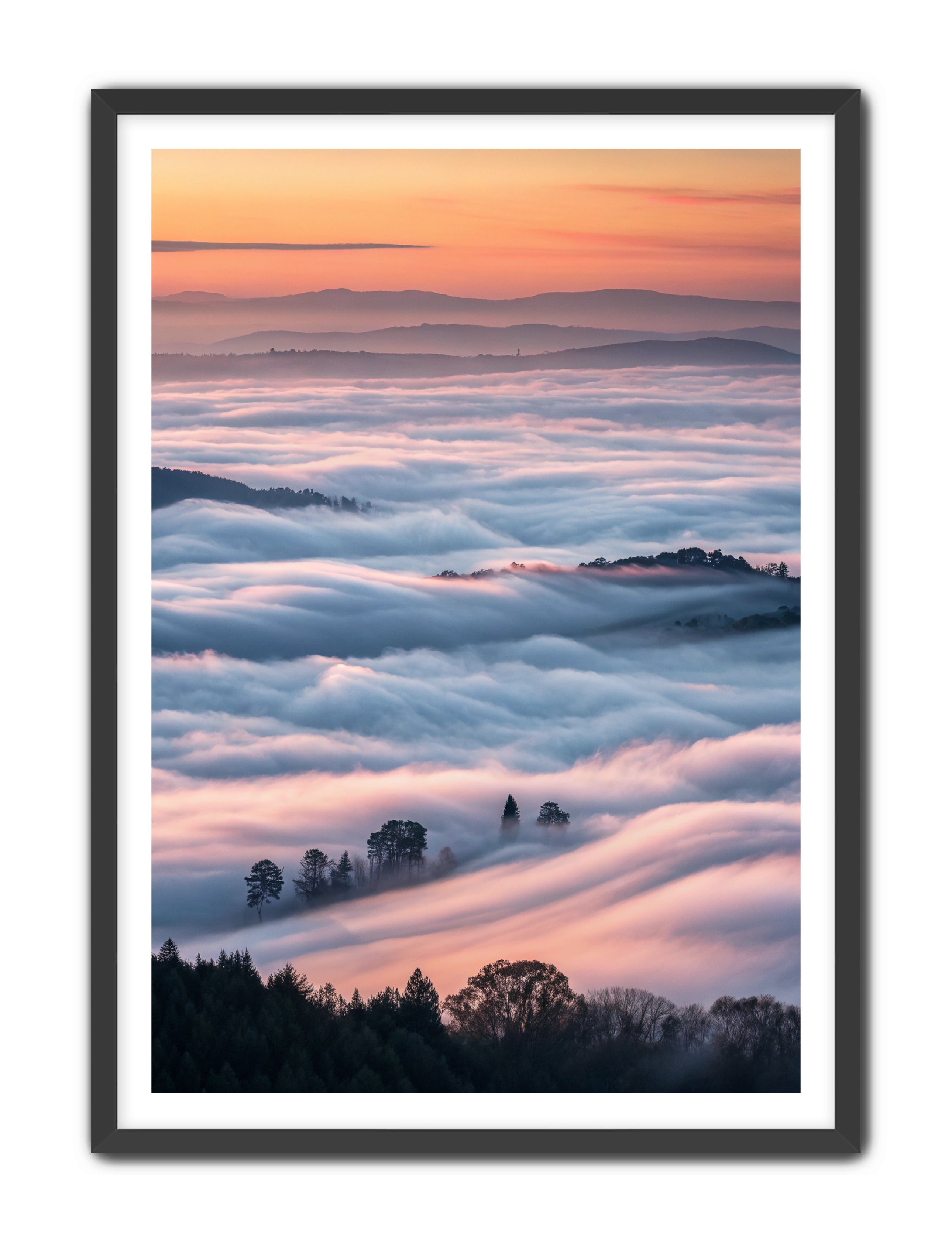 Apricus Prints 'Clouded Canopy' Apricus Art Collection