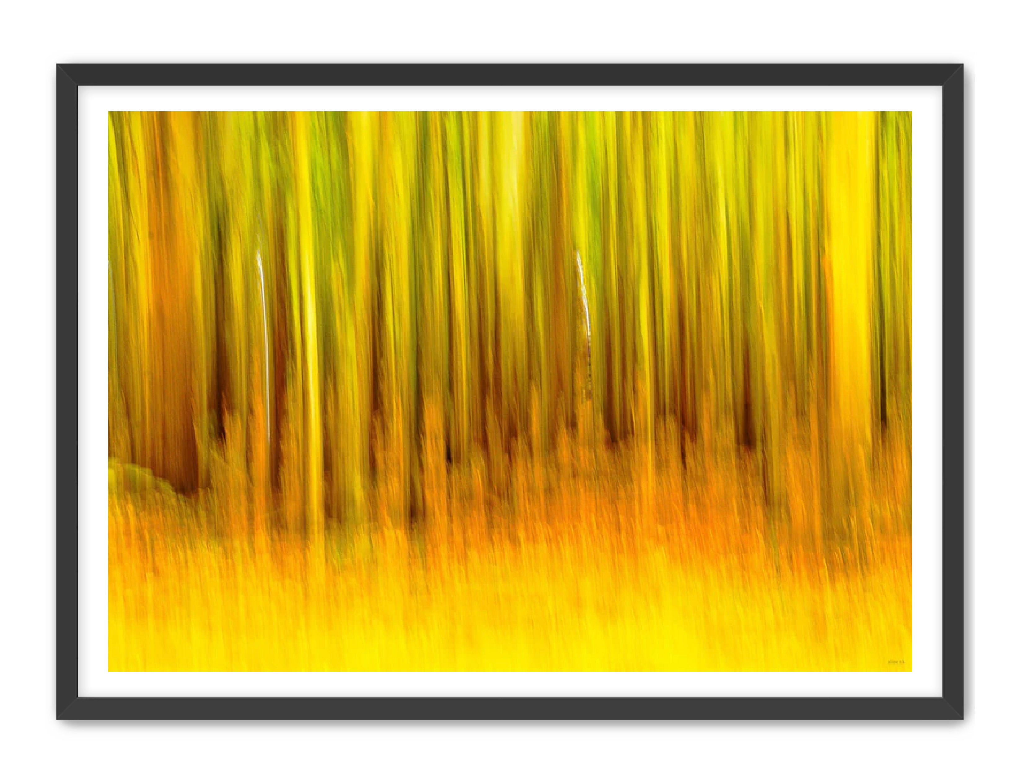 Abstract Photography Prints 'The forest' Aline Karagozlu