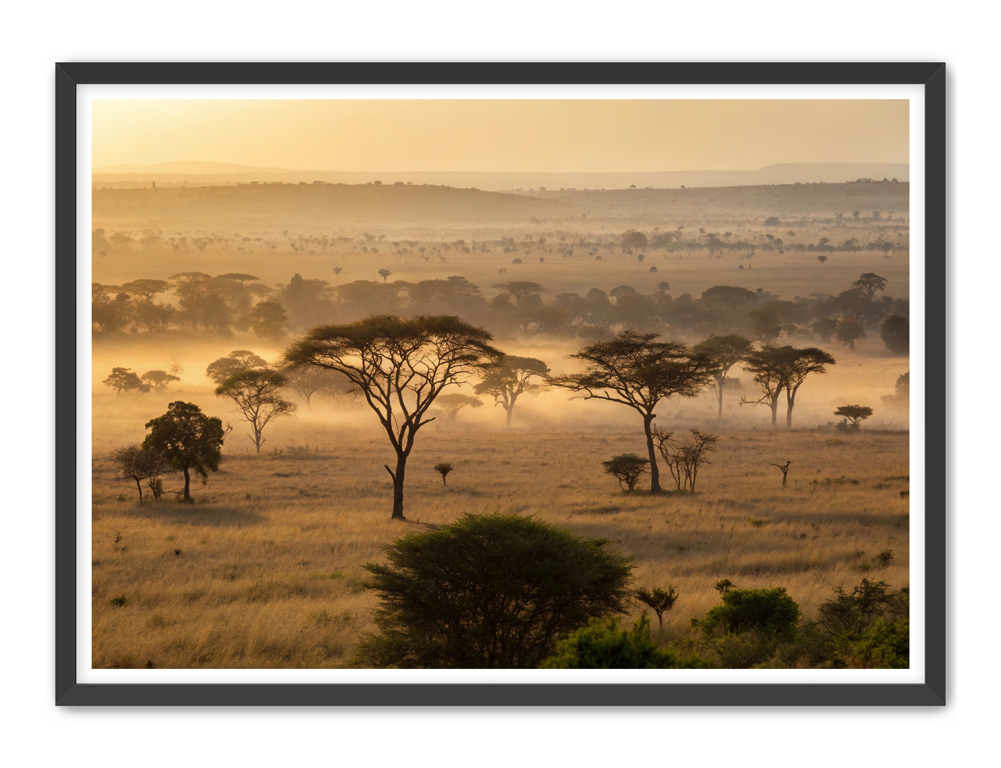 Apricus Prints 'Sunrise on the Serengeti' Apricus Art Collection