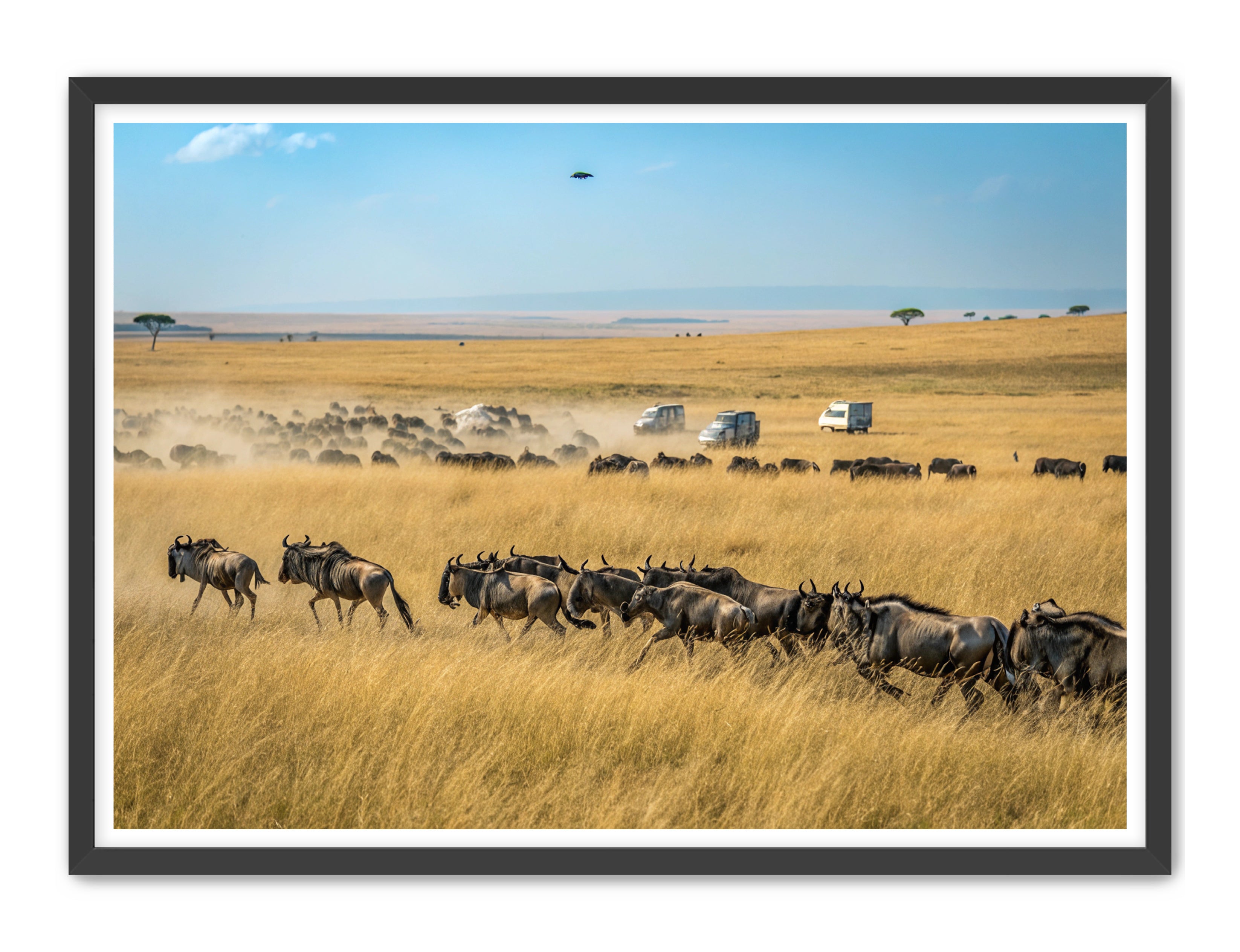 Apricus Prints 'Serengeti Stampede' Apricus Art Collection