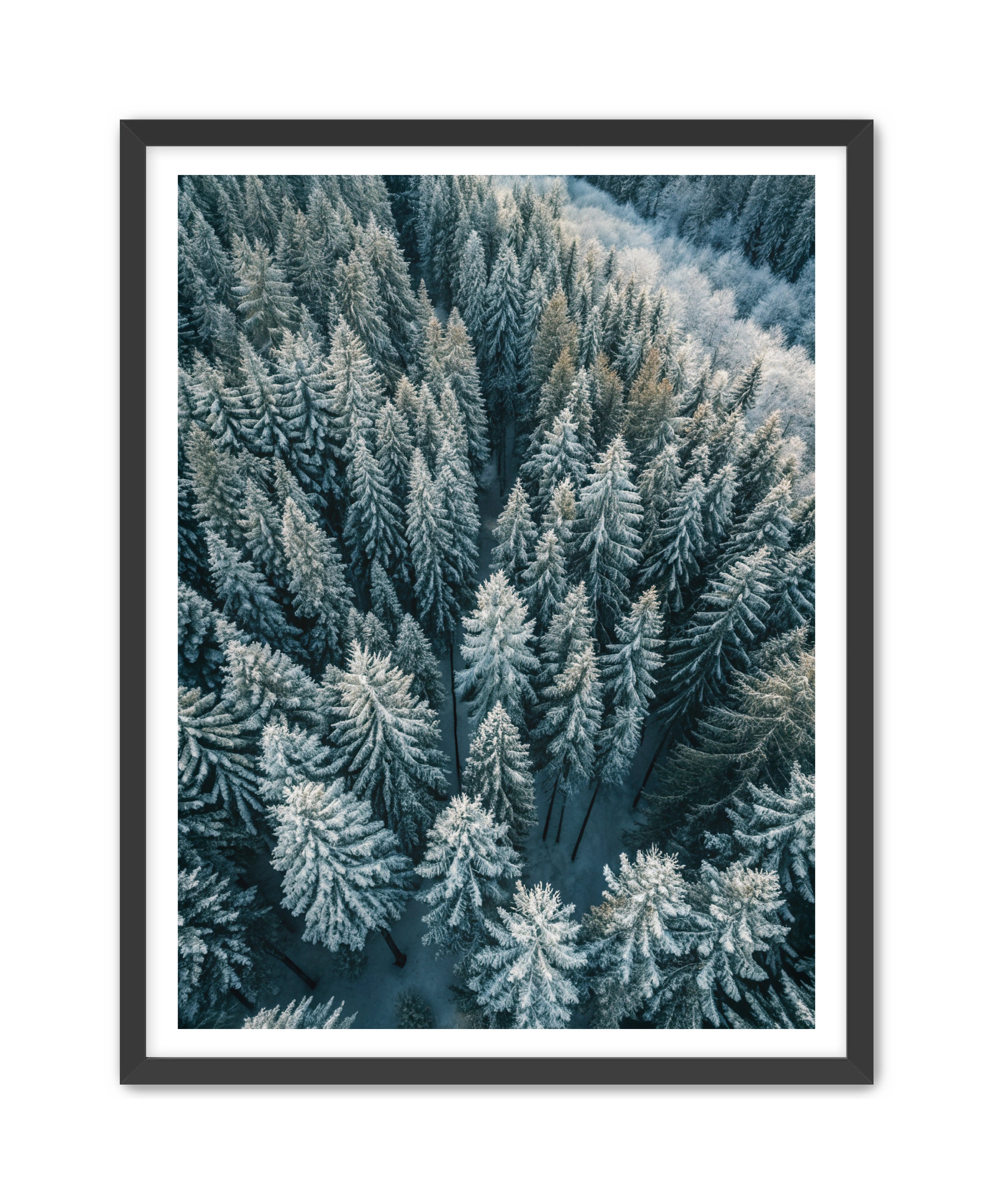 Apricus Prints Nature 'Winter Veins' Apricus Art Collection