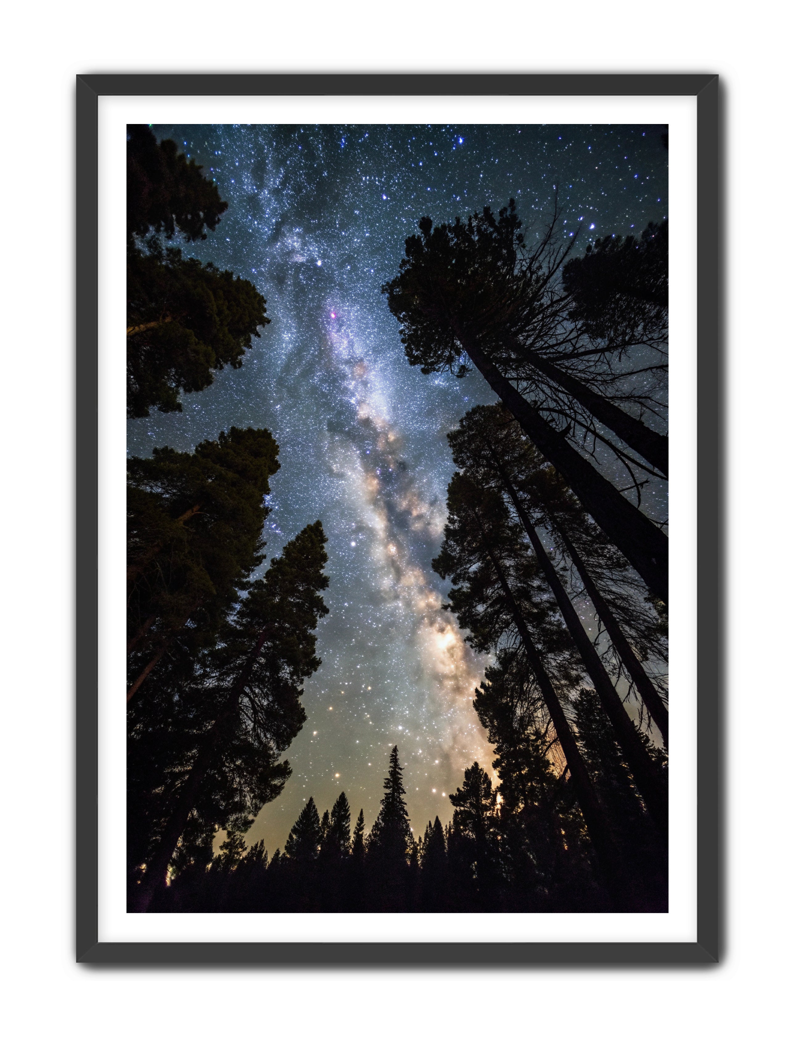 Apricus Prints 'Canopy of Eternity' Apricus Art Collection