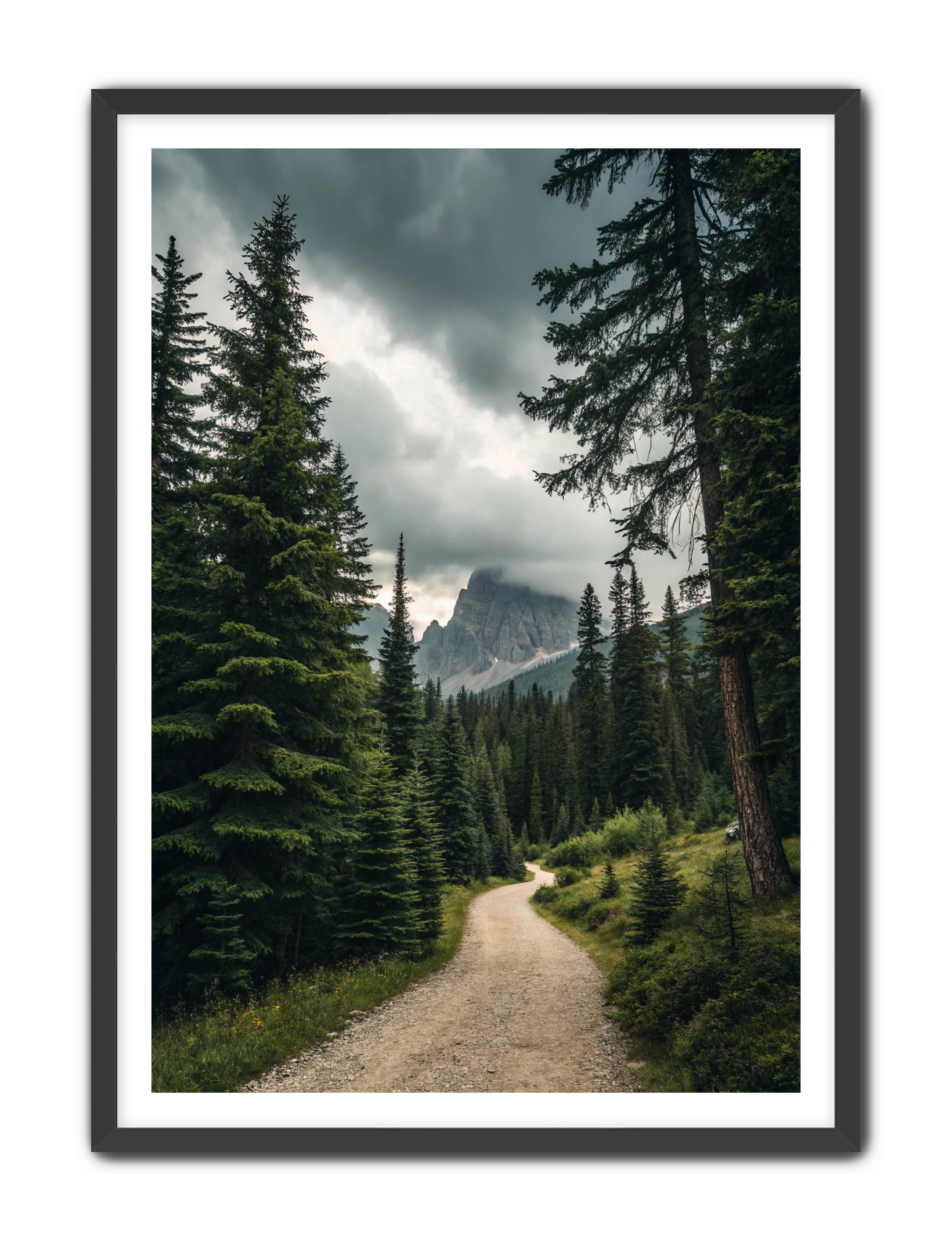 Apricus Prints 'Path to the Peaks' Apricus Art Collection