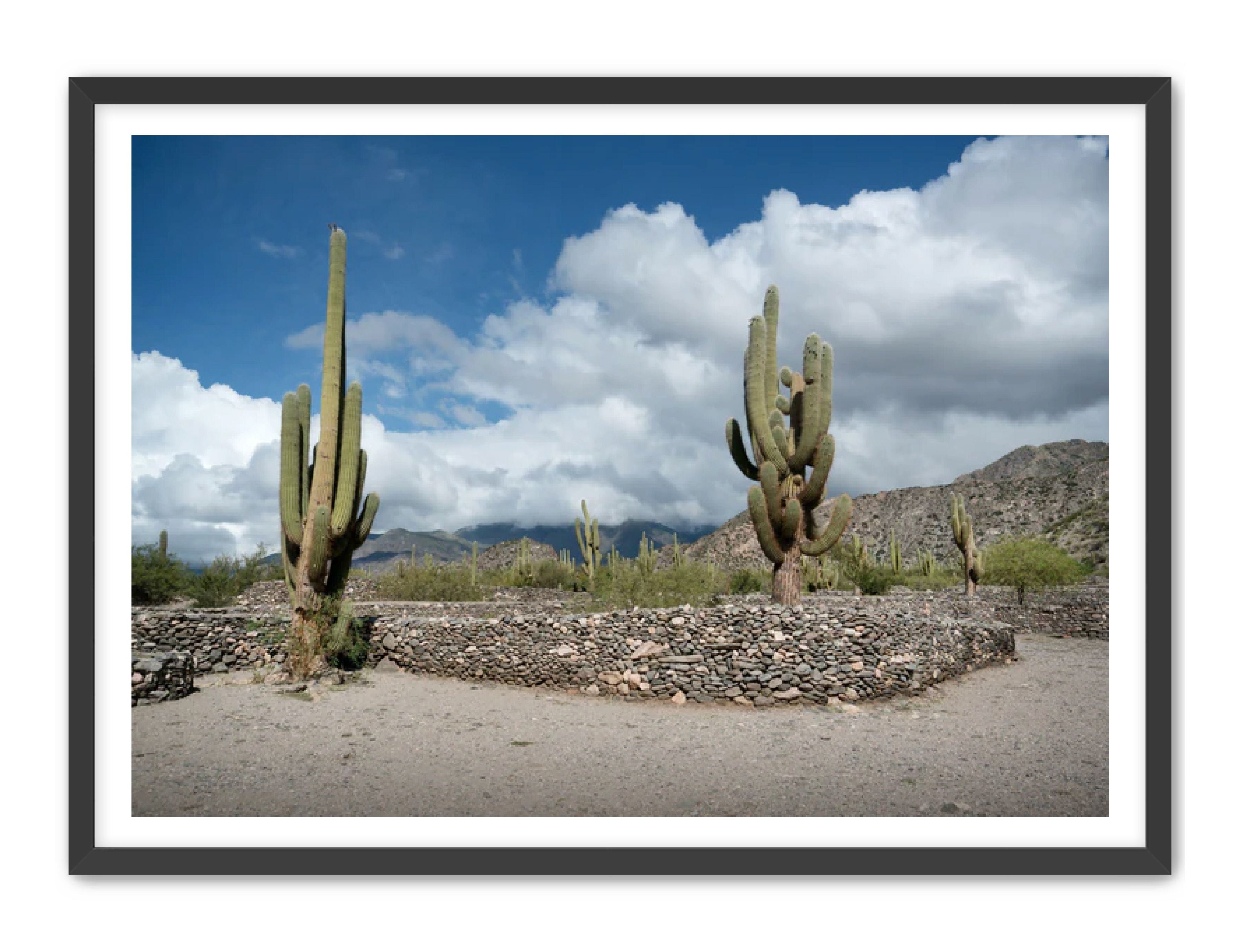 Landscape Photography Prints 'Cactus on the way' Aline Karagozlu