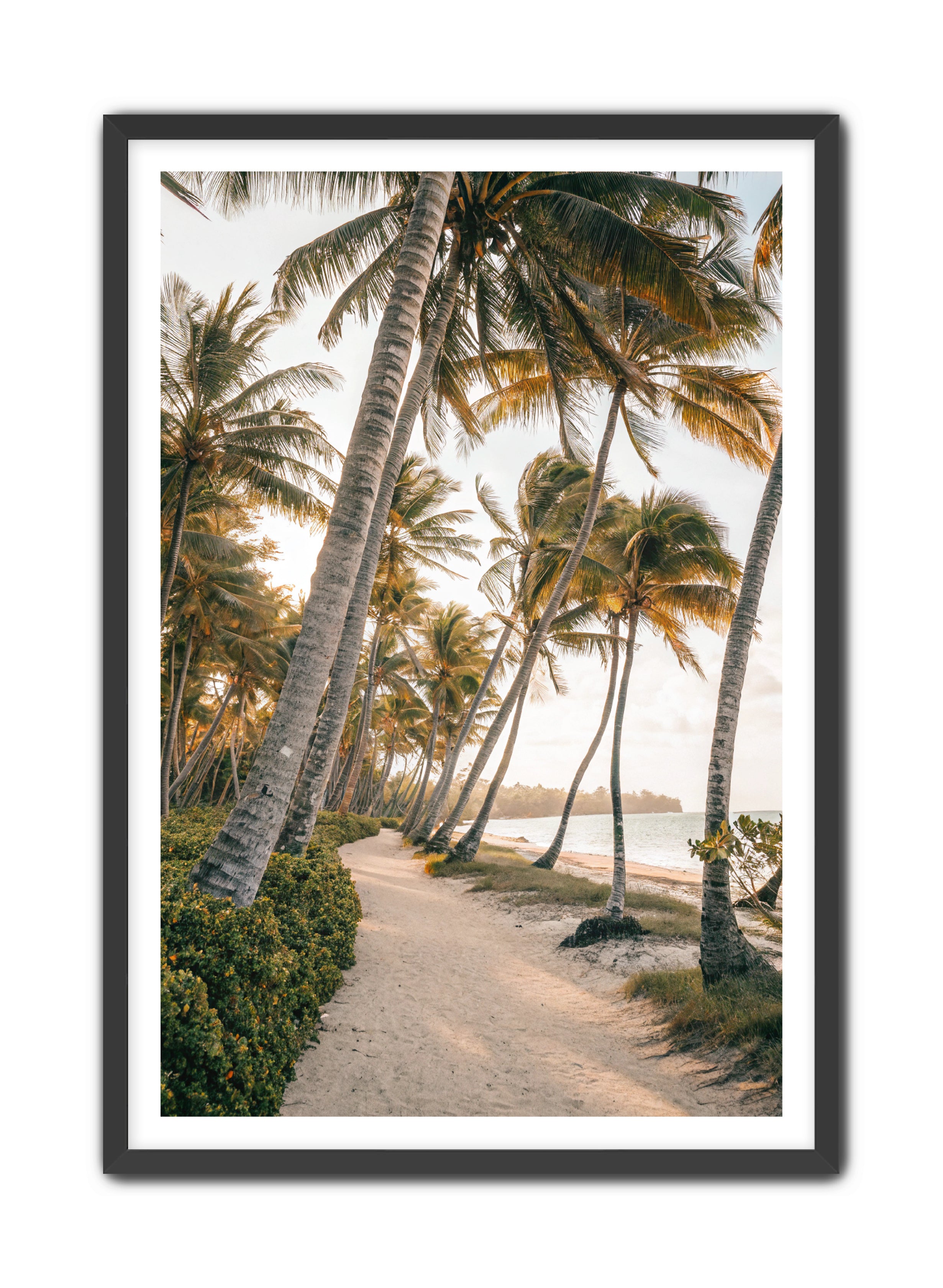 Apricus Prints Beaches 'Driftwood Dreams' Apricus Art Collection