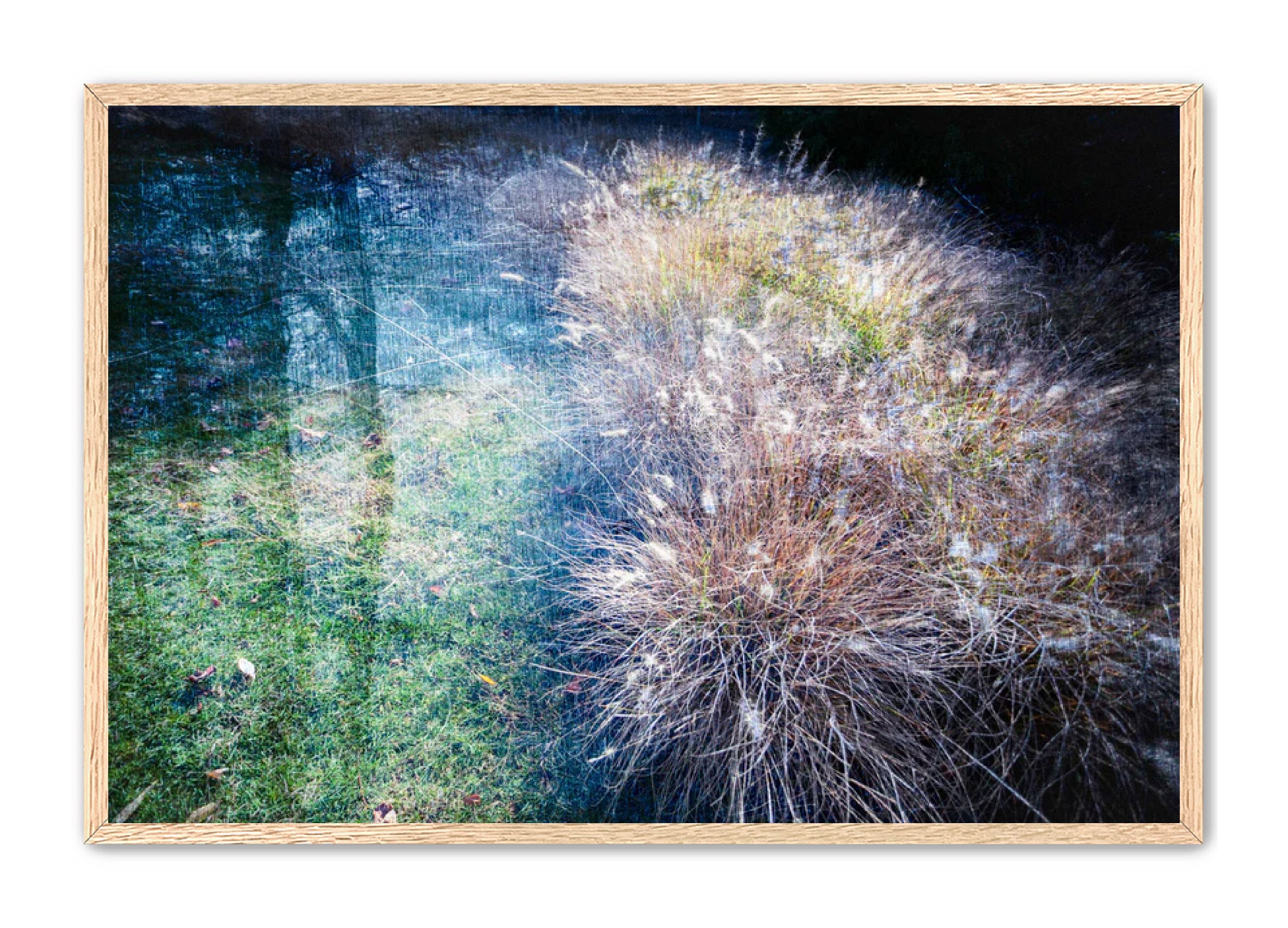 PhotoArt Prints 'GRASSES' Danielle Neumann Kelly