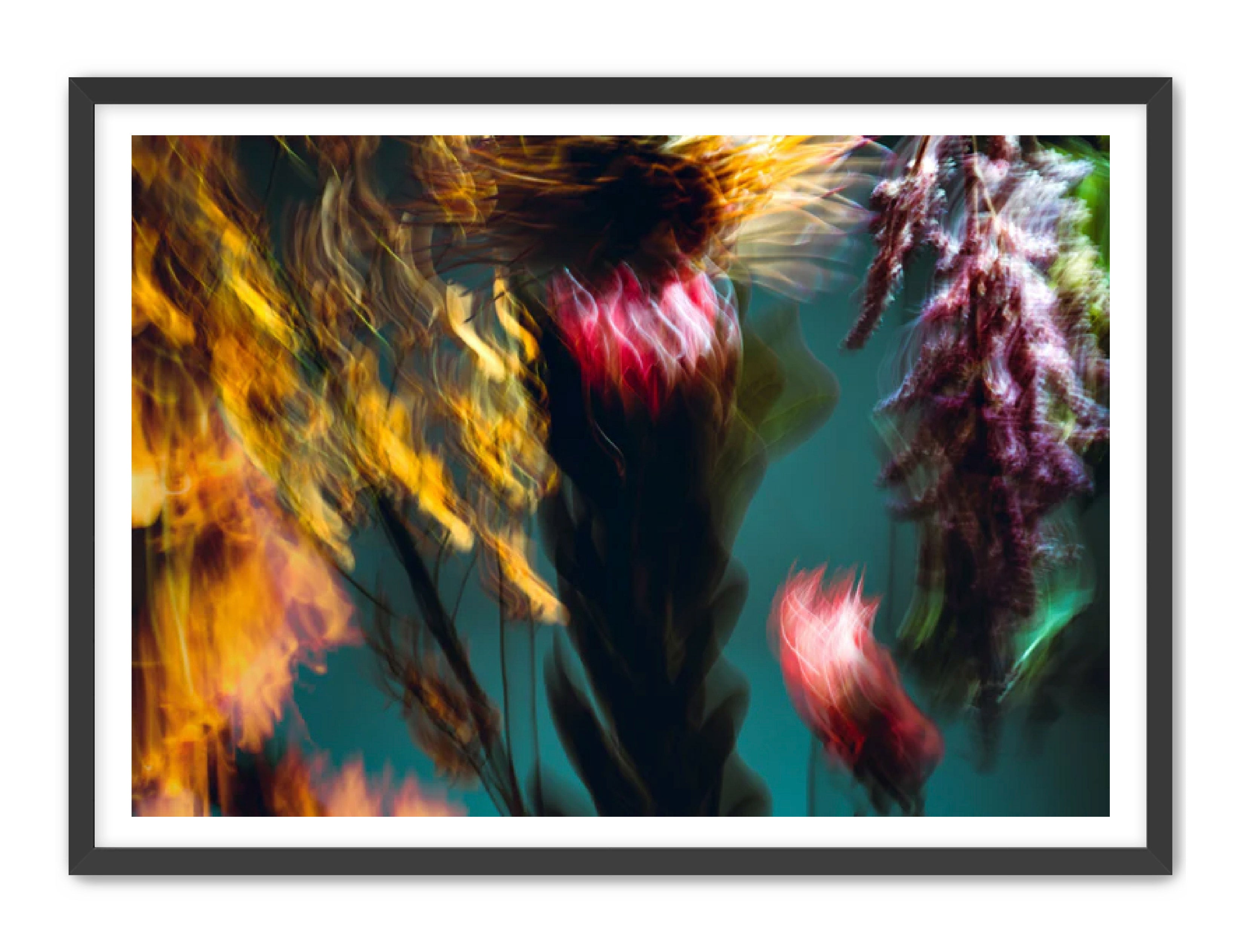 Photography Prints 'Fleur Bleur' Reed Decker