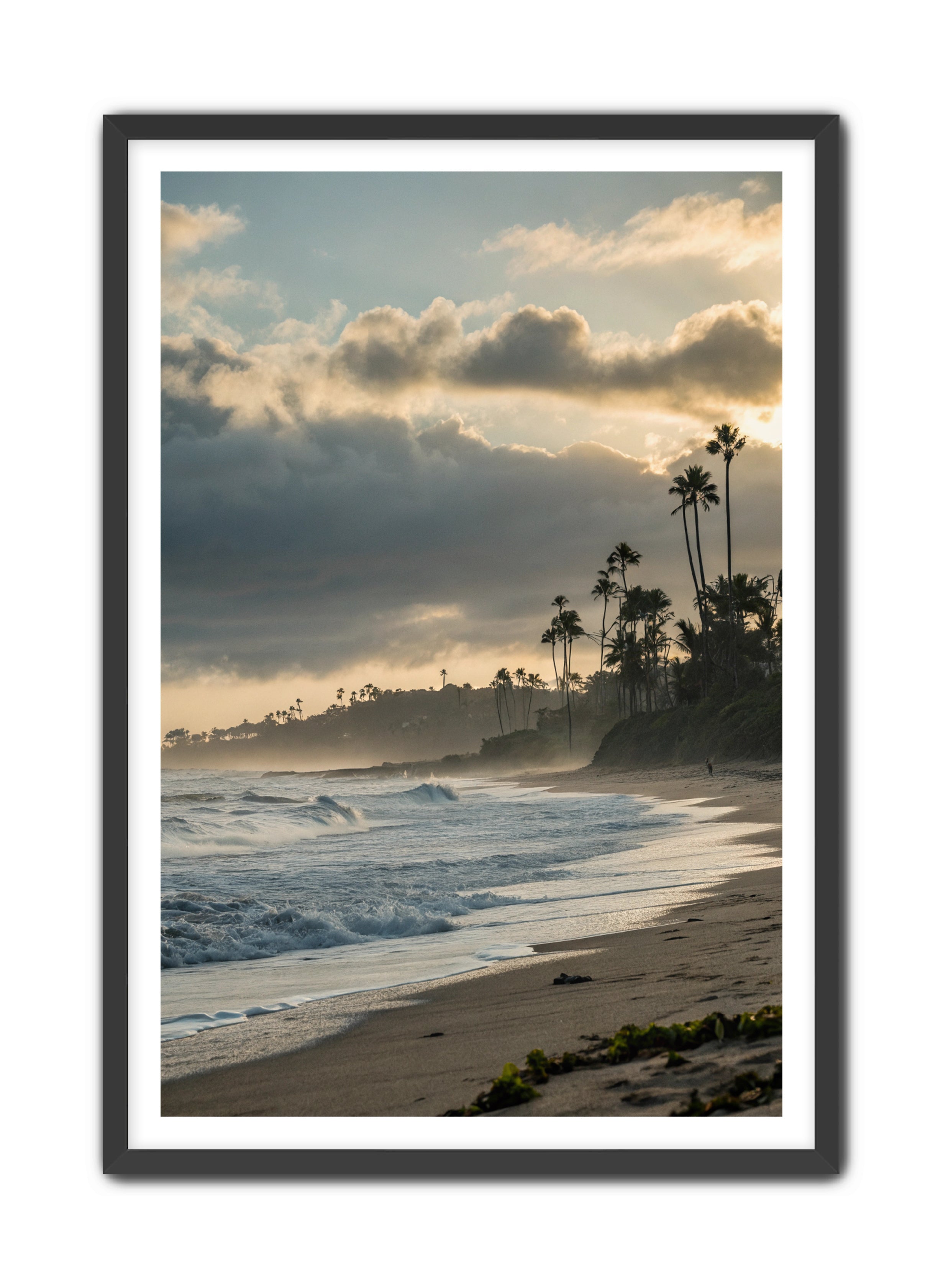 Apricus Prints Beaches 'Coastal Echoes' Apricus Art Collection