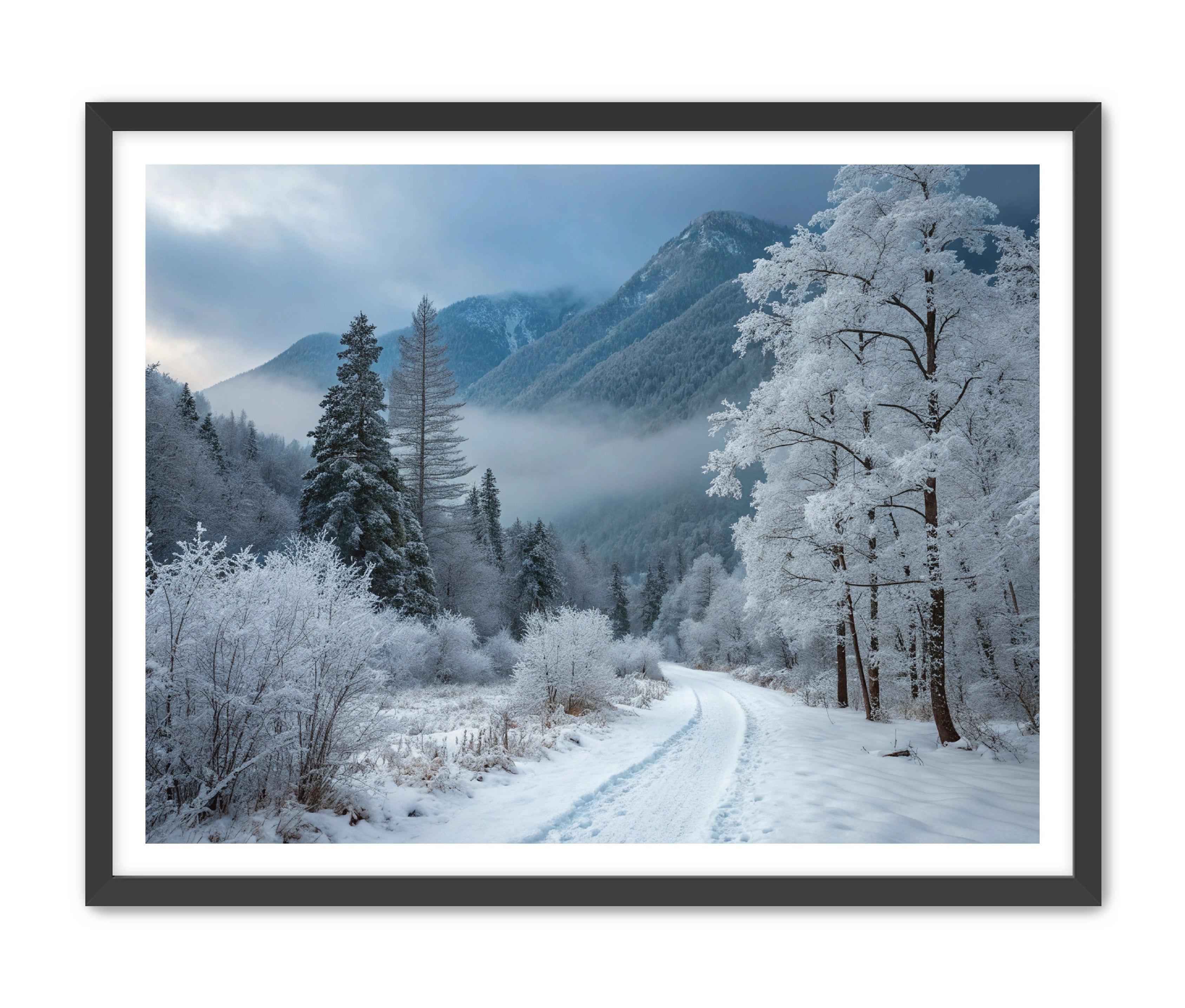 Apricus Prints 'Telluride Way' Apricus Art Collection