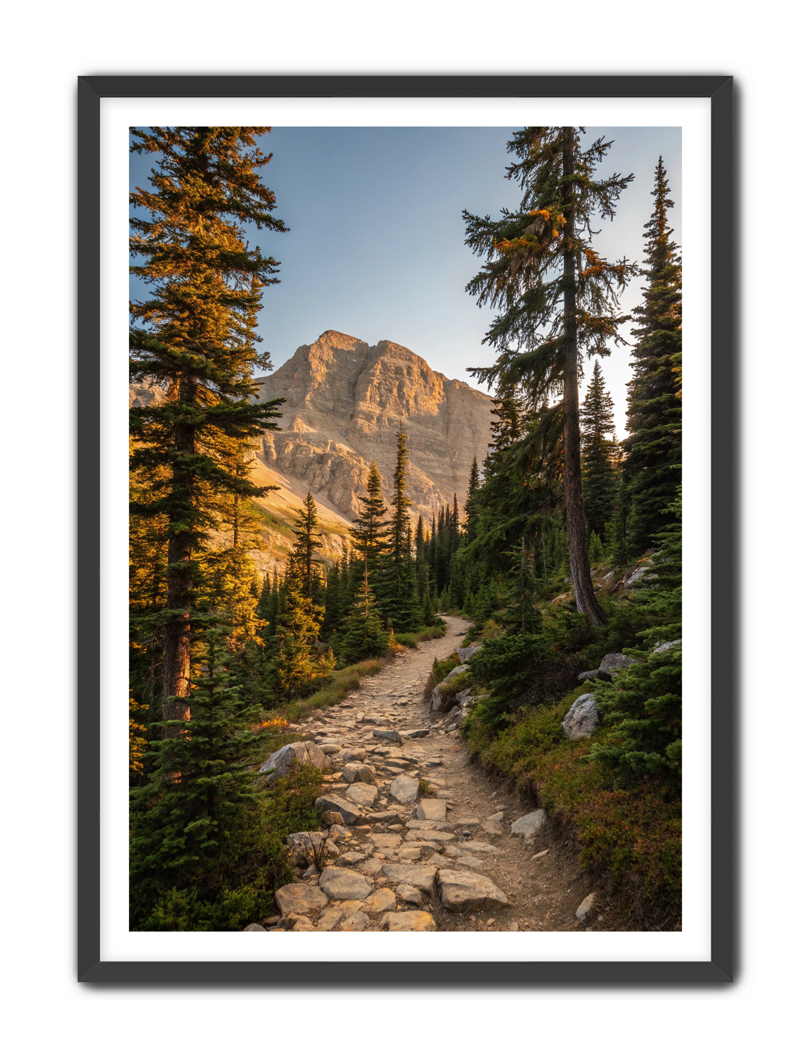 Apricus Prints 'Rocky Mountain Way' Apricus Art Collection