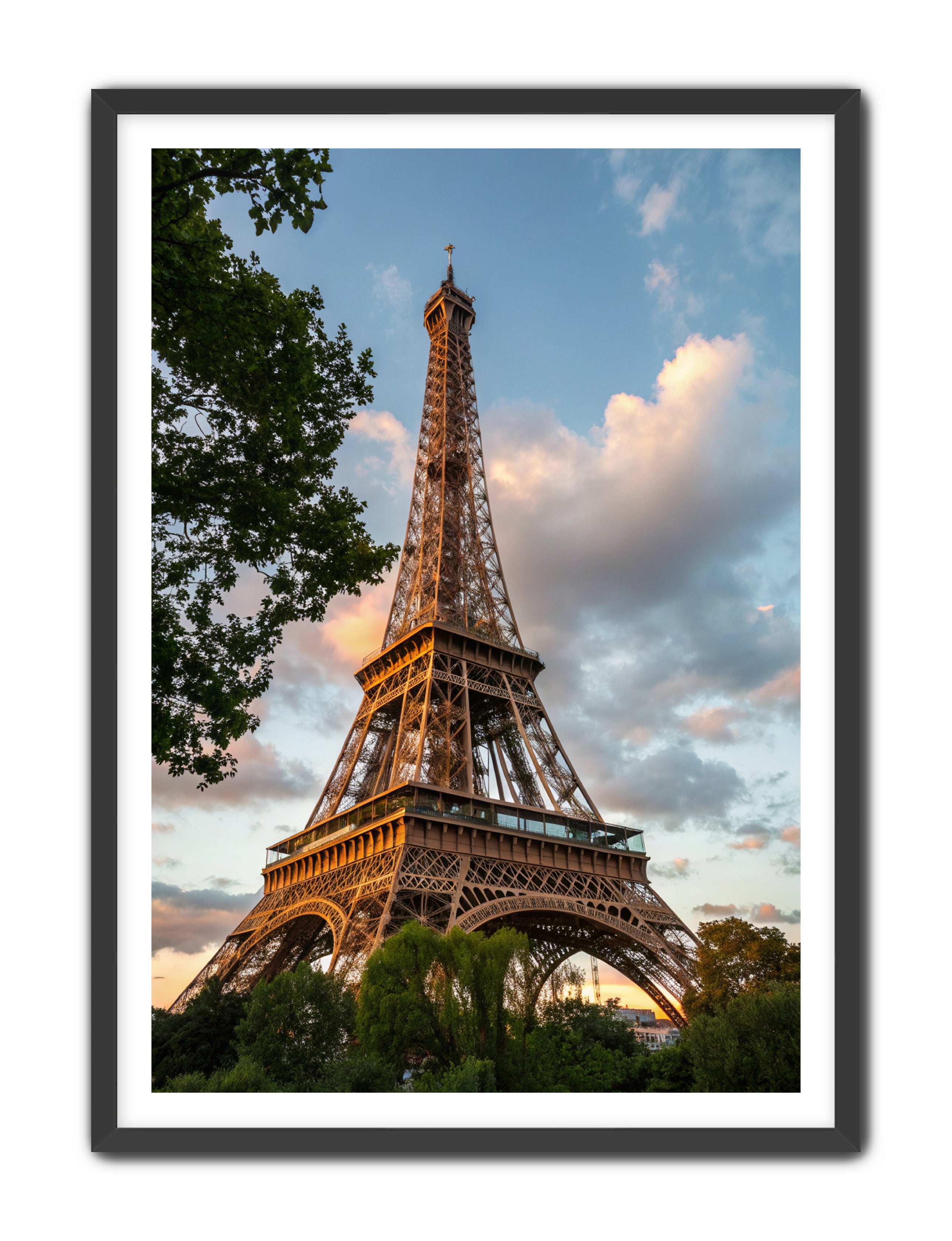 Apricus Prints 'Paris Bloom' Apricus Art Collection