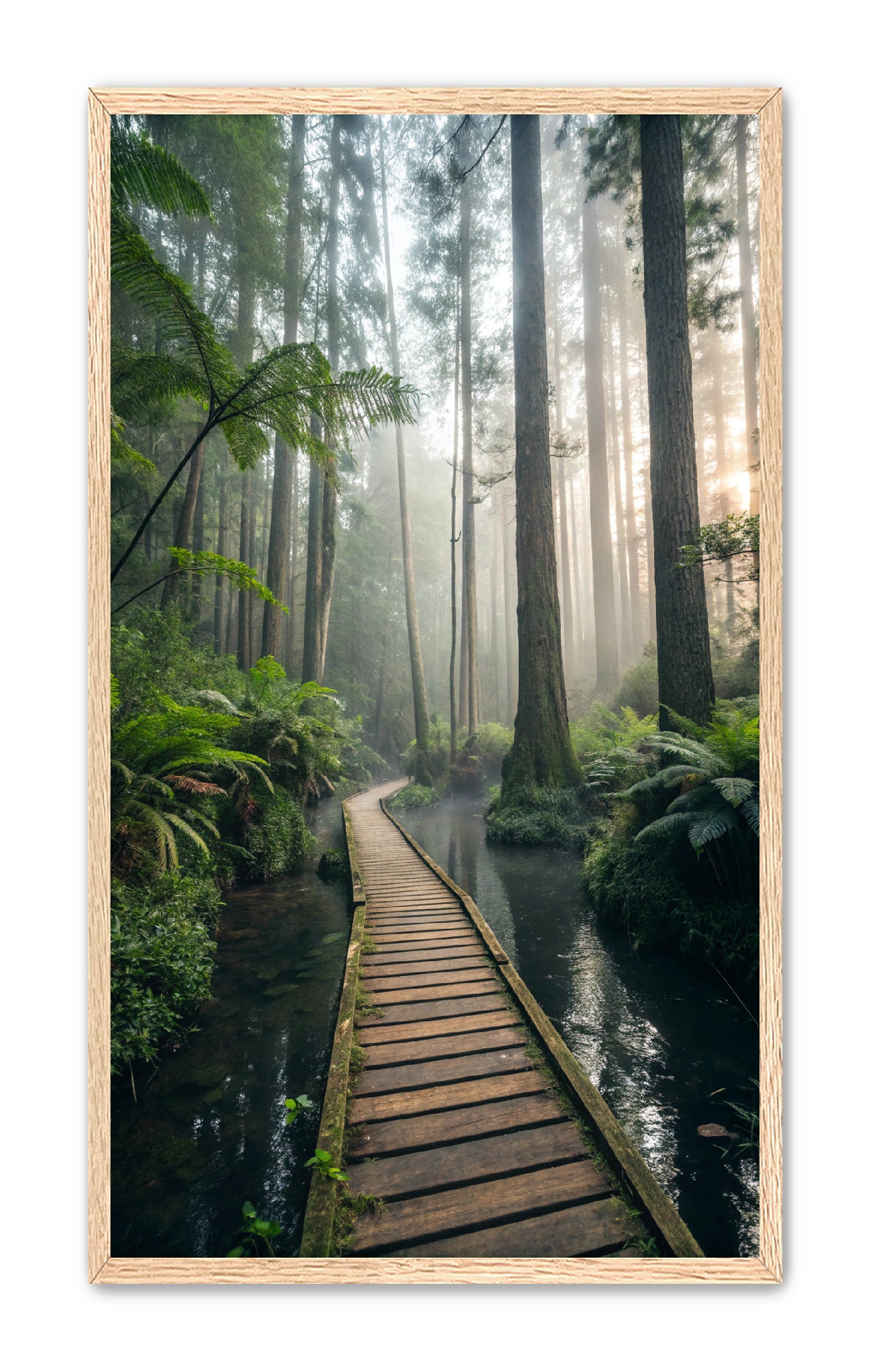 Apricus Prints 'Canopy Crossing' Apricus Art Collection