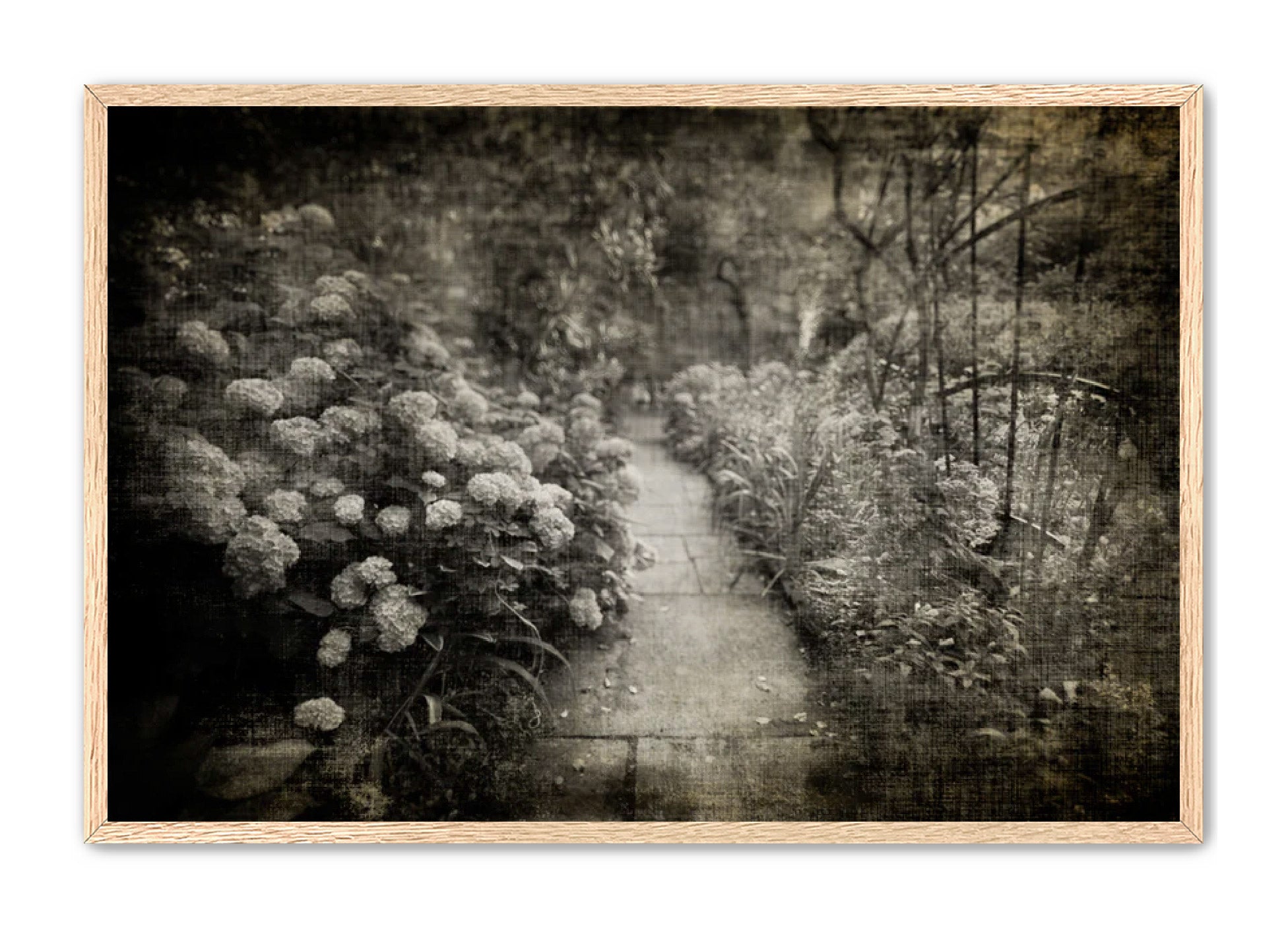 PhotoArt Prints 'PARK PATH 2' Danielle Neumann Kelly