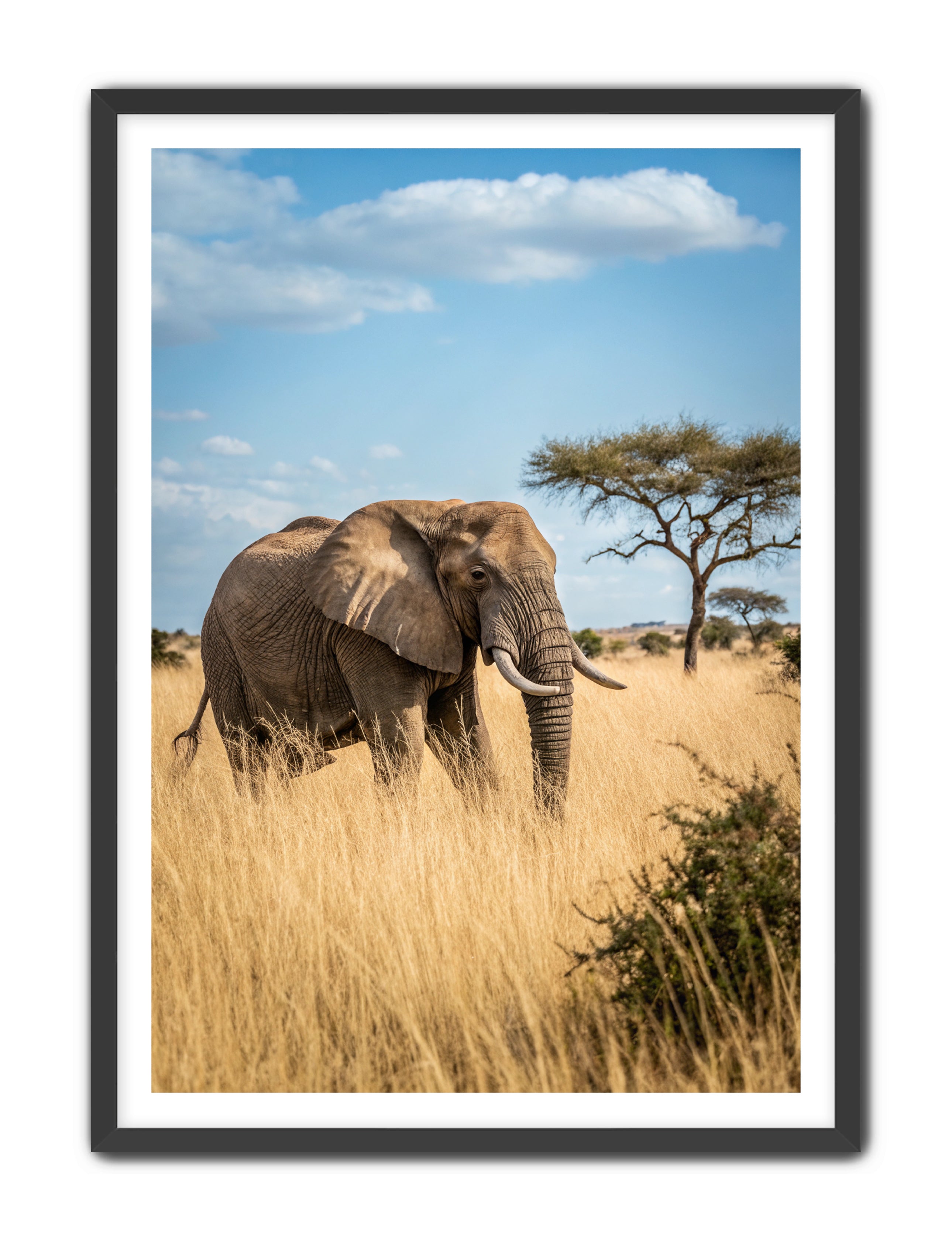 Apricus Prints 'Ellie, The Gentle Giant' Apricus Art Collection