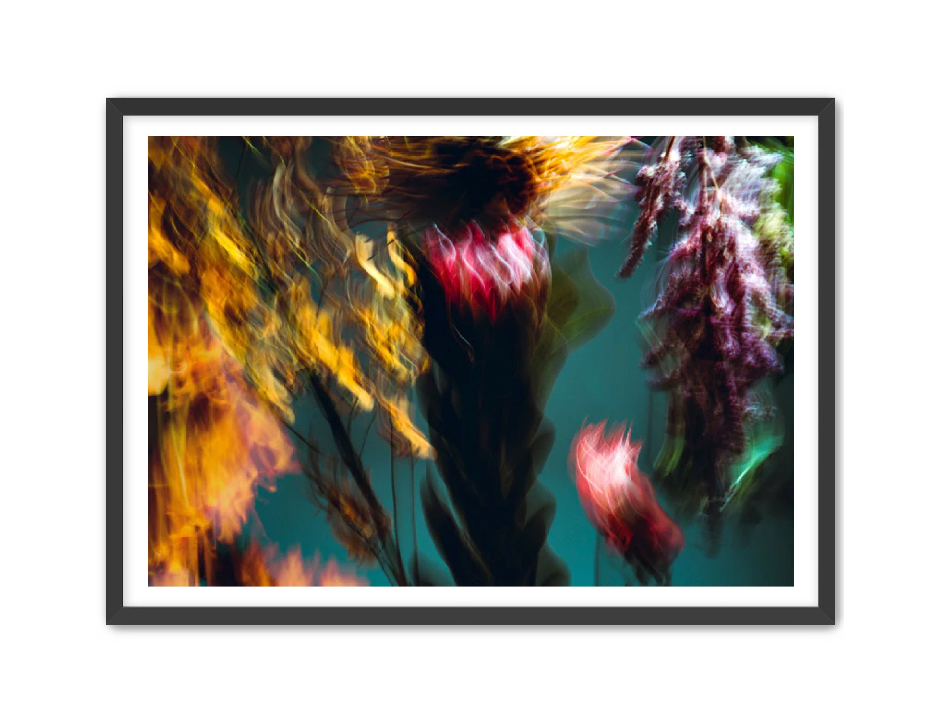 Photography Prints 'Fleur Bleur' Reed Decker