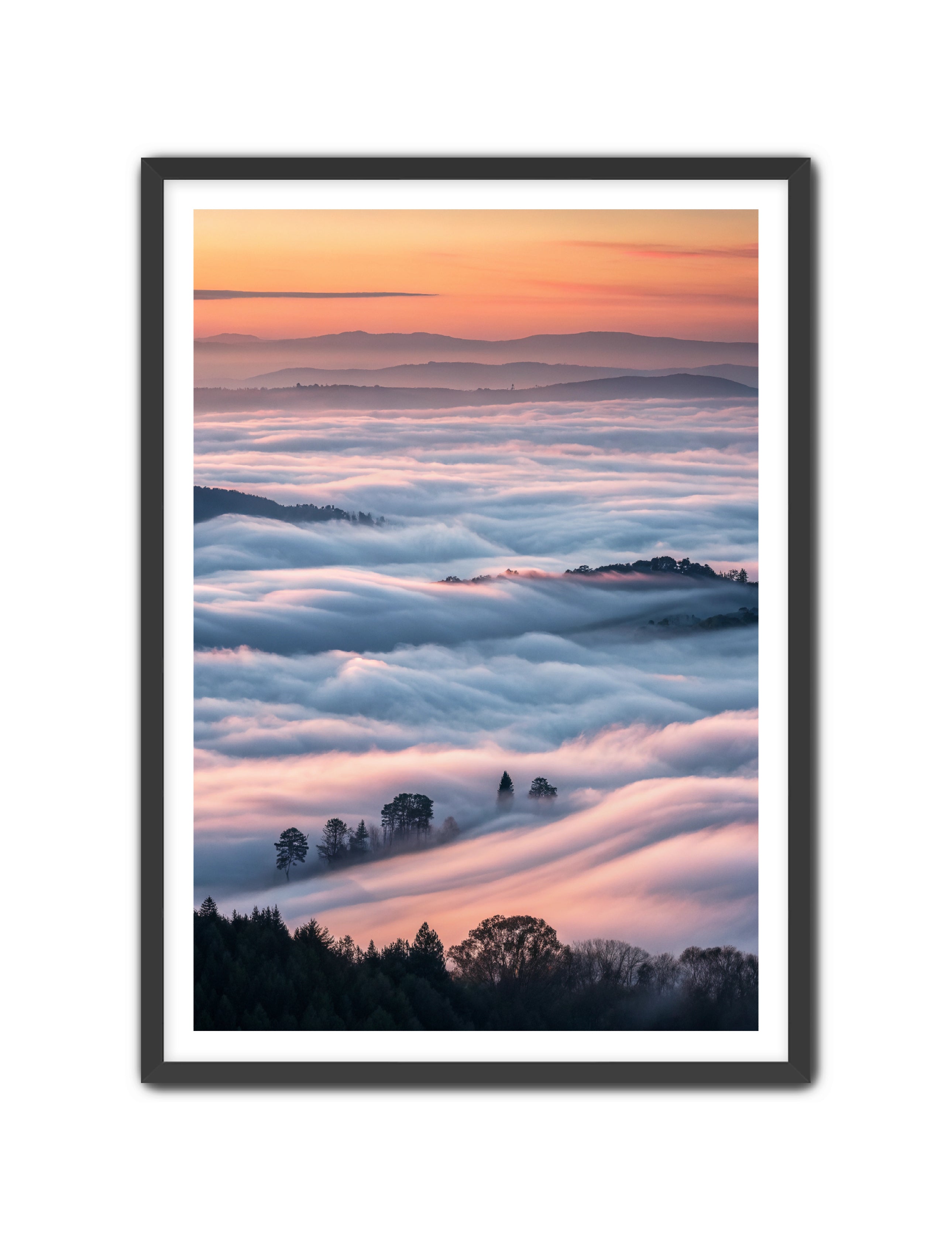 Apricus Prints 'Clouded Canopy' Apricus Art Collection