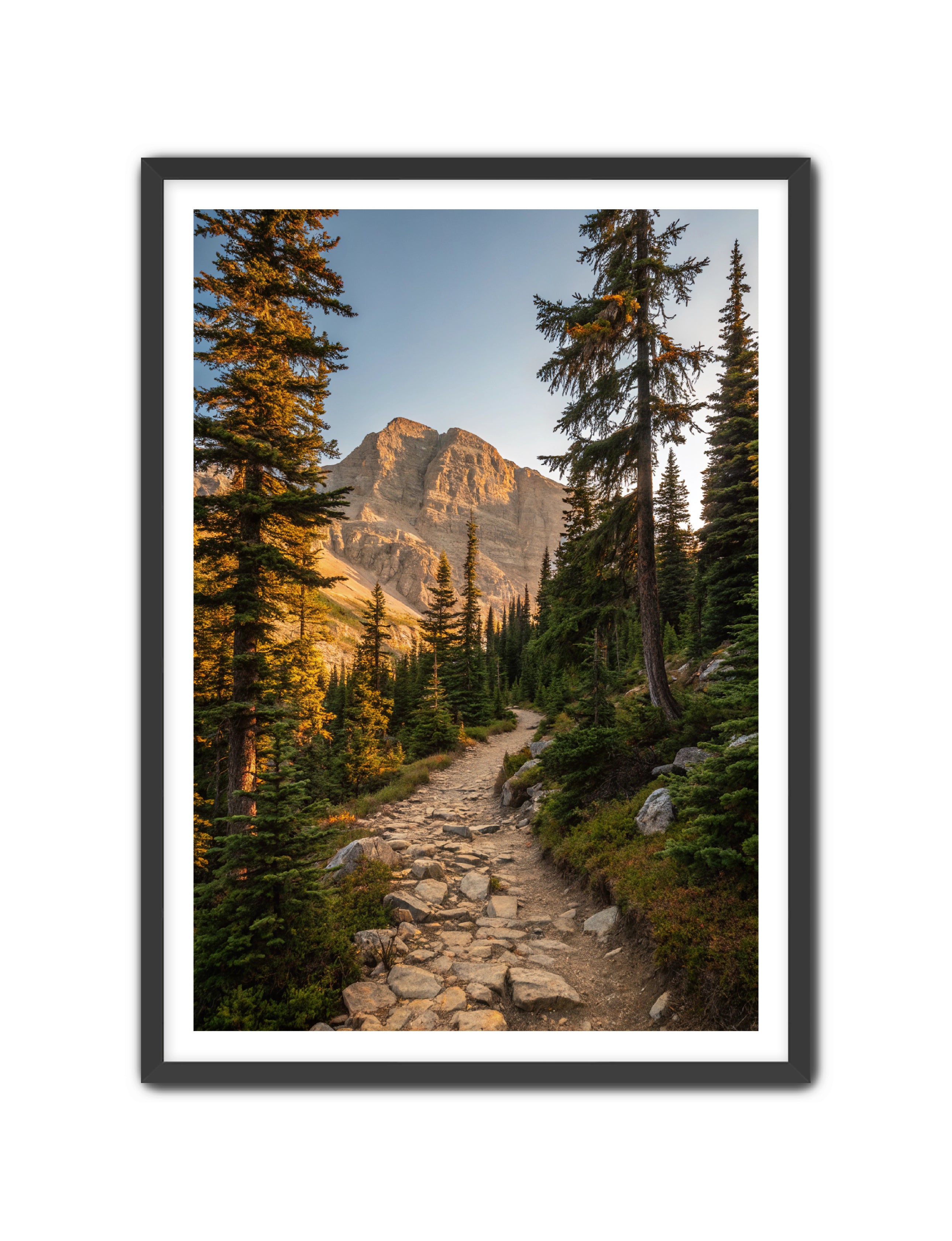 Apricus Prints 'Rocky Mountain Way' Apricus Art Collection