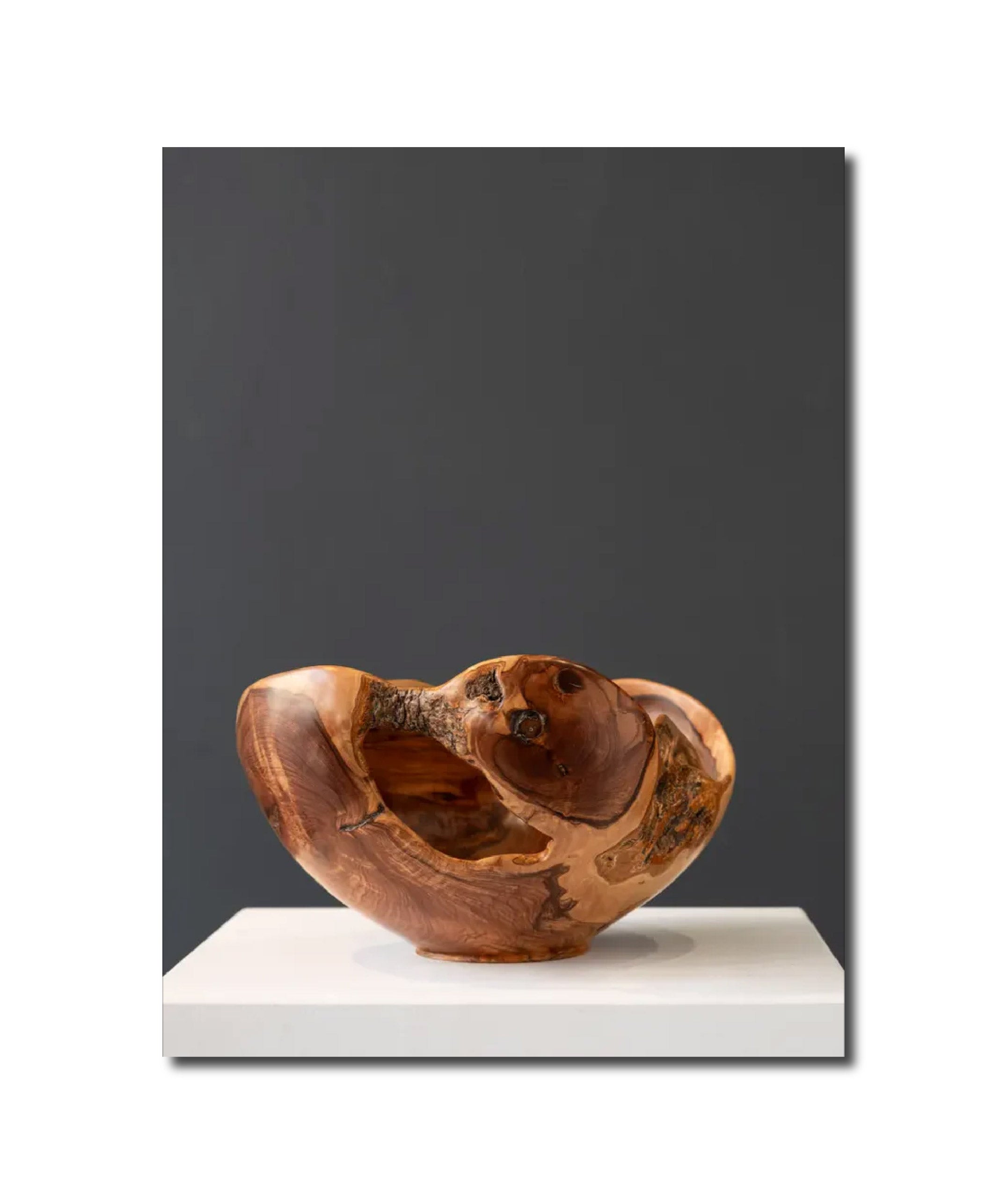 Sculpture wood 'WILD OLIVE WOOD' Rodney Band