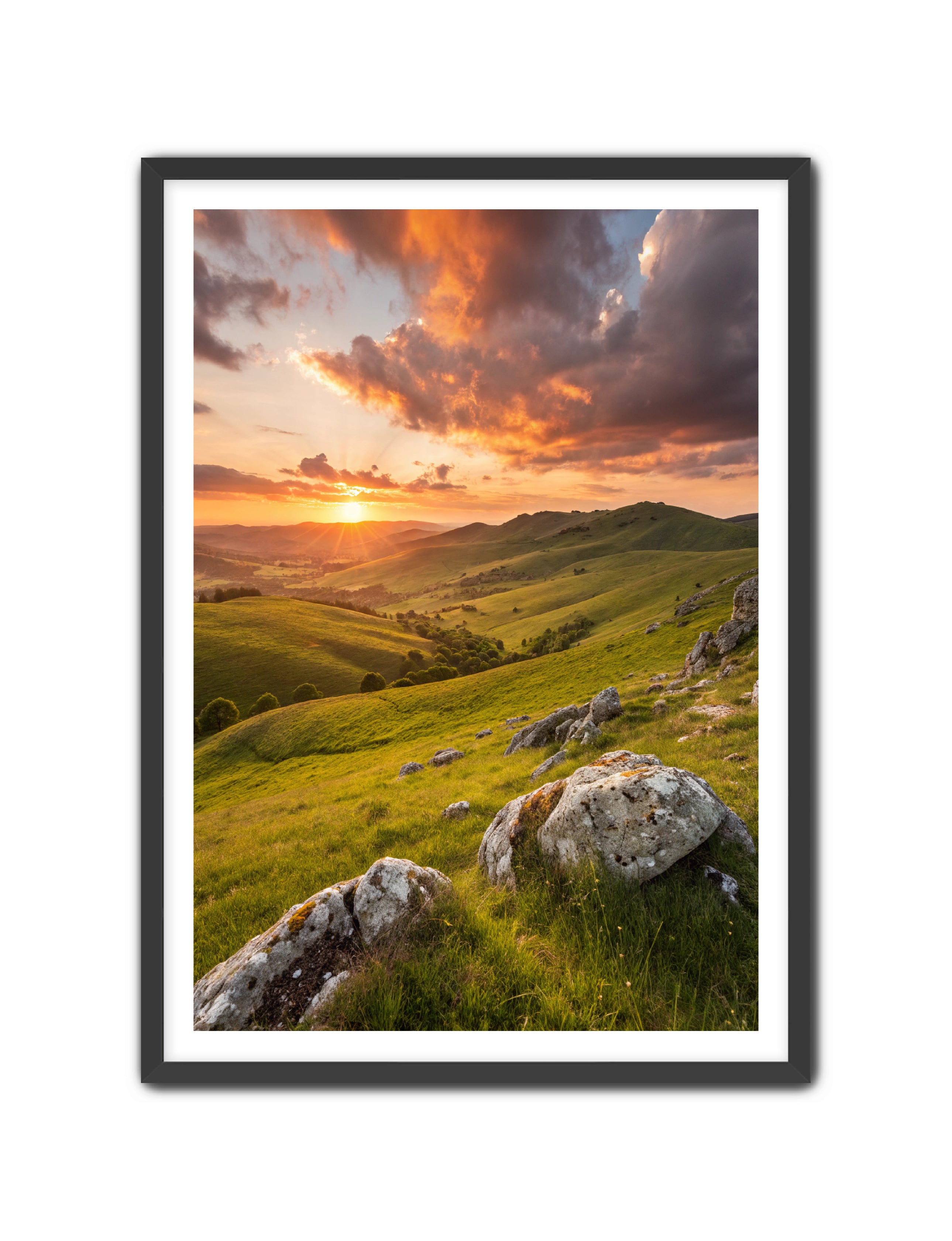 Apricus Prints 'Highland Glow' Apricus Art Collection