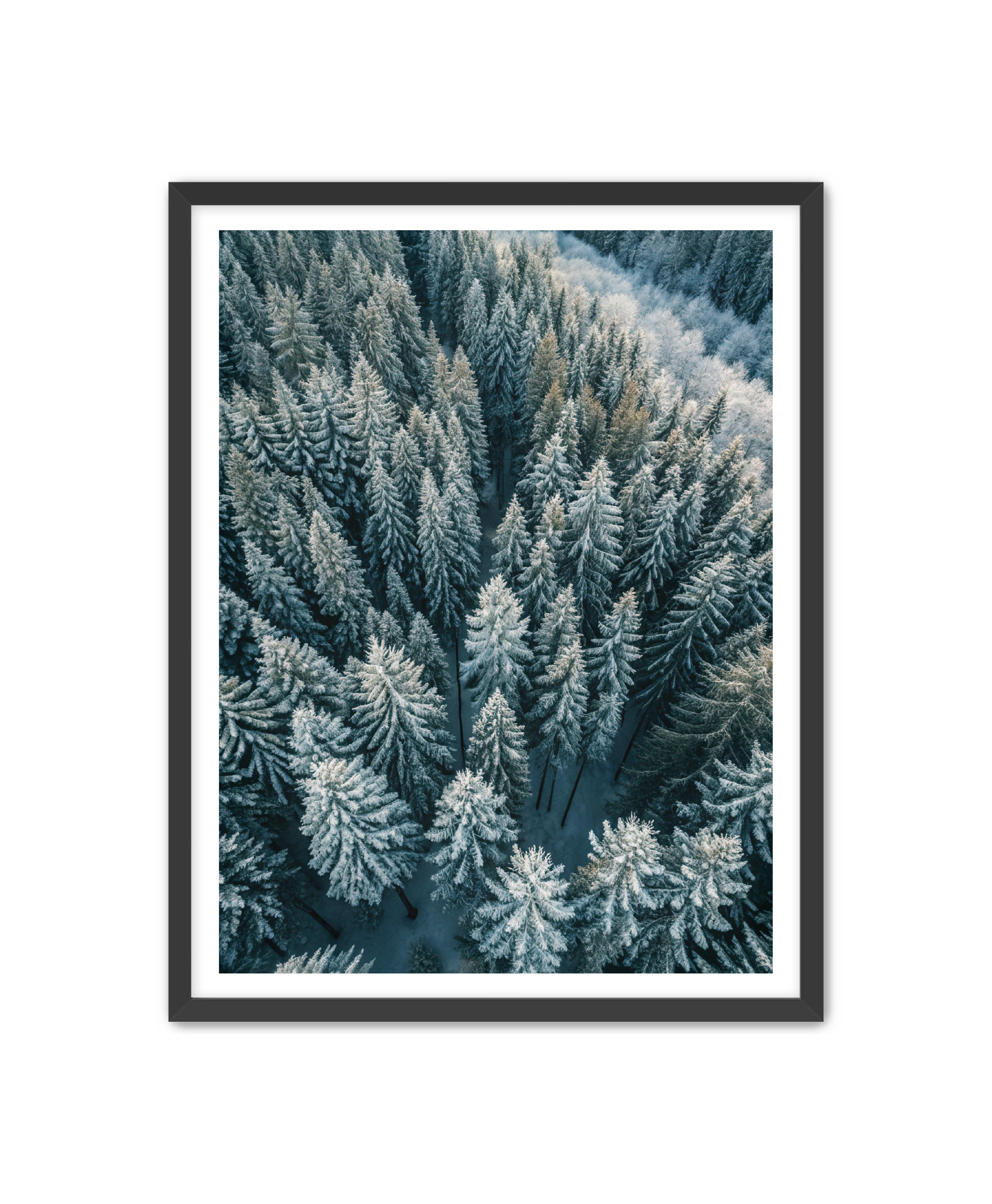 Apricus Prints Nature 'Winter Veins' Apricus Art Collection