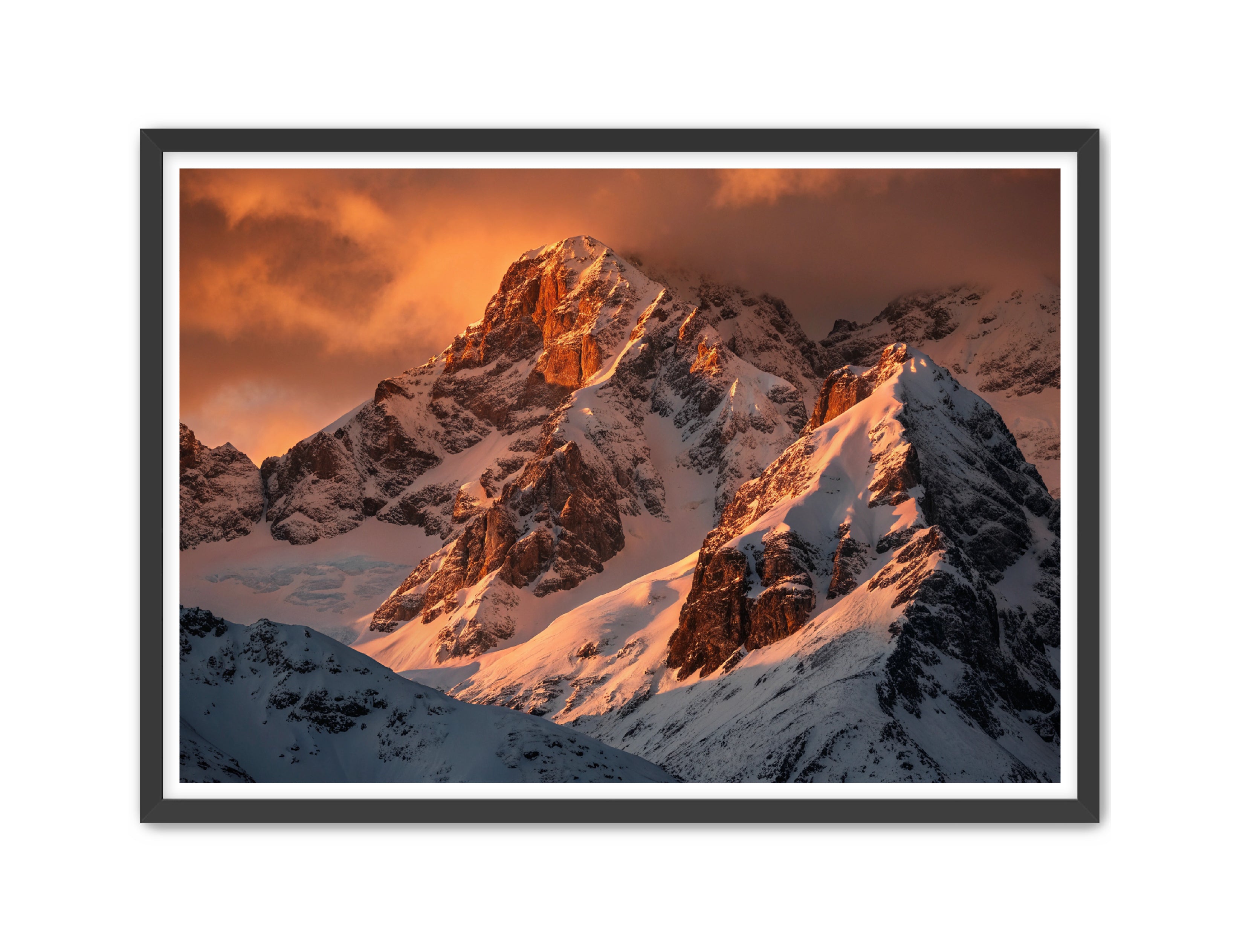 Apricus Prints 'Crimson Crown of the Himalayas' Apricus Art Collection