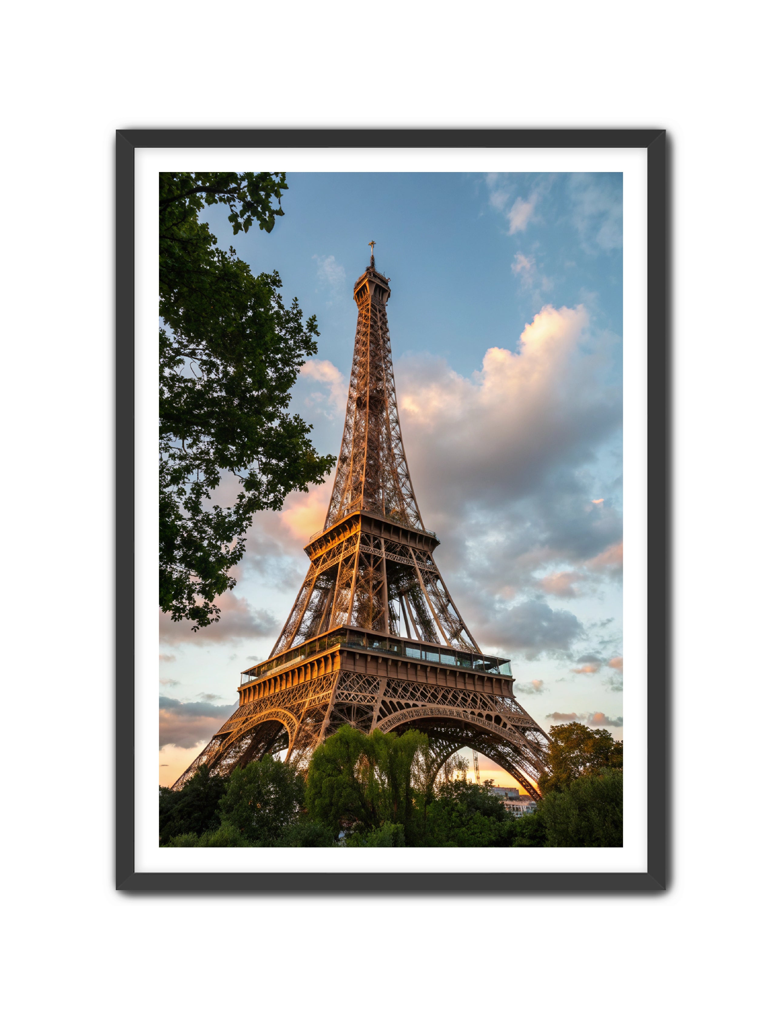 Apricus Prints 'Paris Bloom' Apricus Art Collection