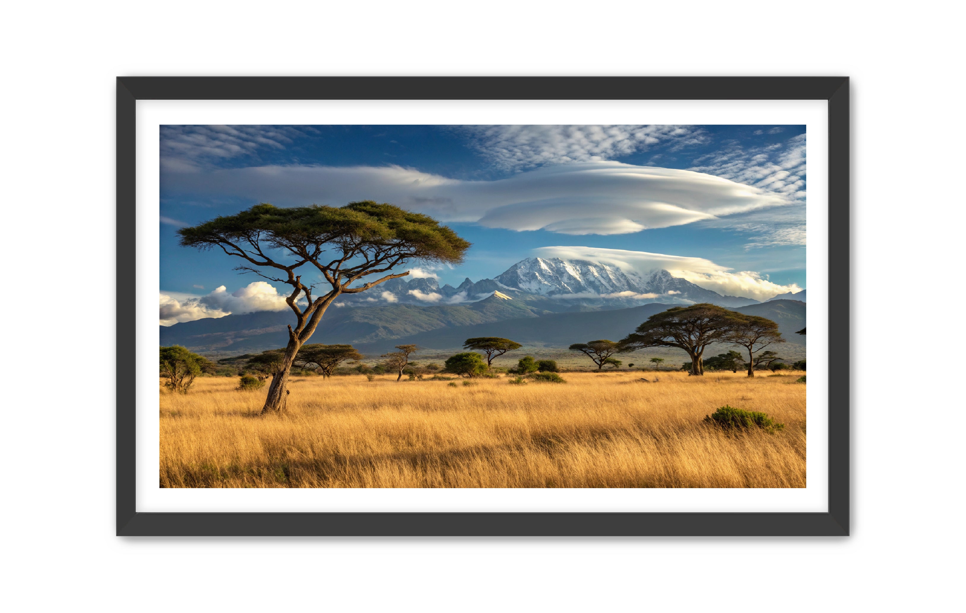 Apricus Prints 'Safari Layers' Apricus Art Collection