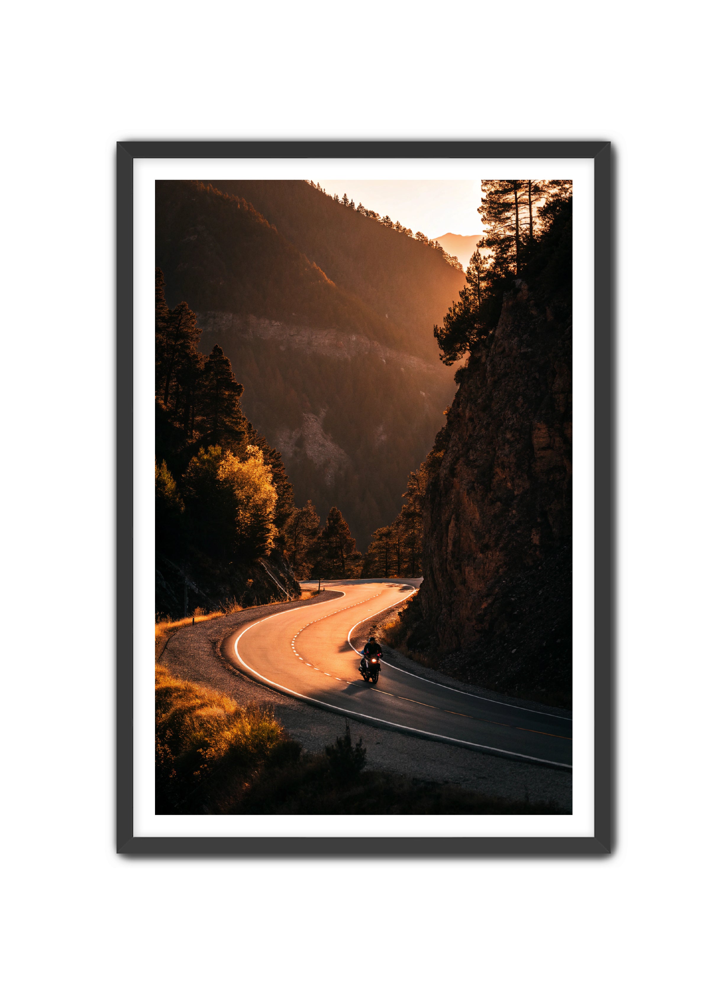 Apricus Prints 'Riding the Ridge' Apricus Art Collection