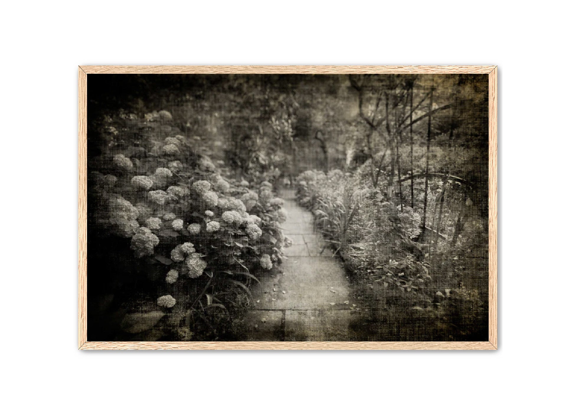 PhotoArt Prints 'PARK PATH 2' Danielle Neumann Kelly