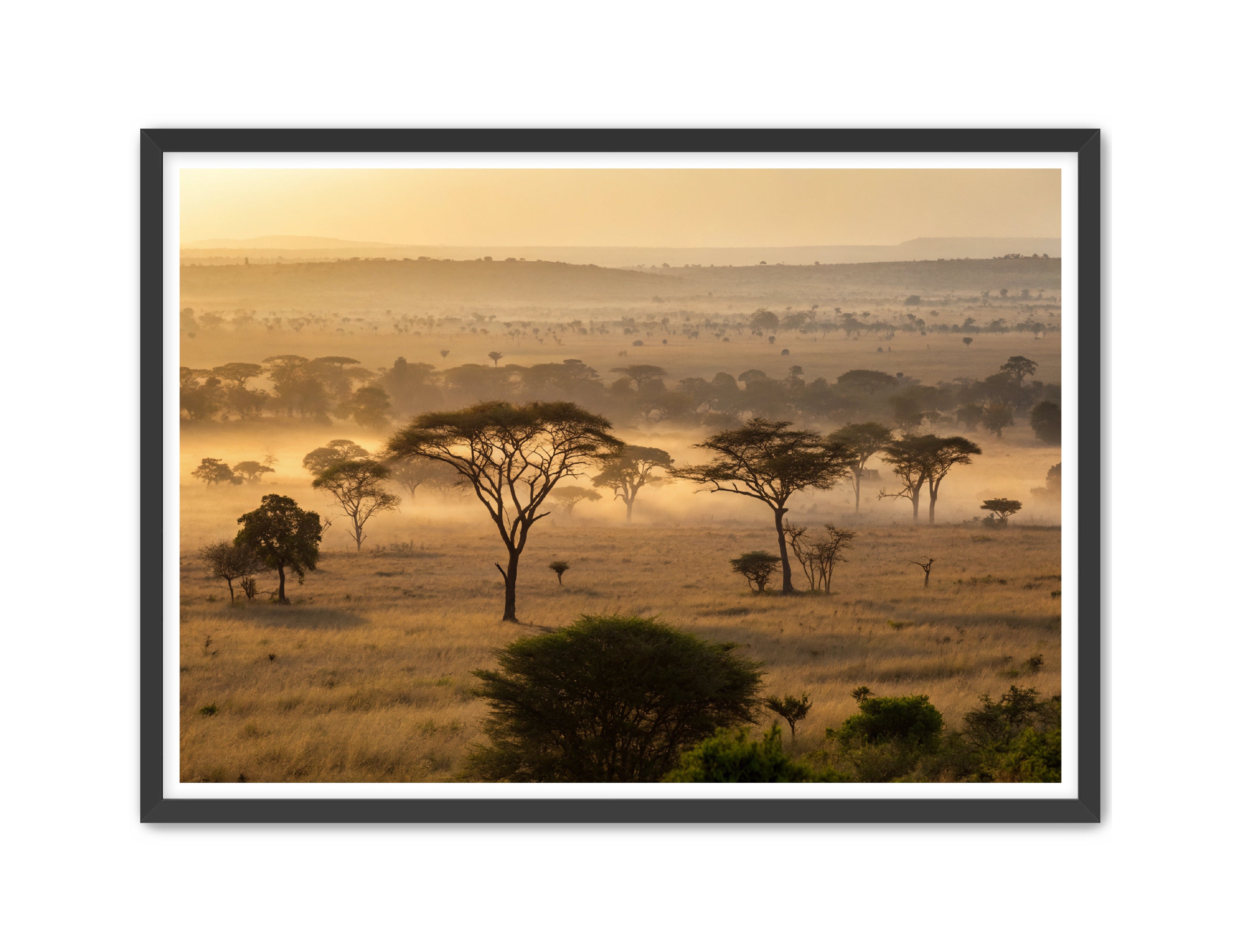 Apricus Prints 'Sunrise on the Serengeti' Apricus Art Collection