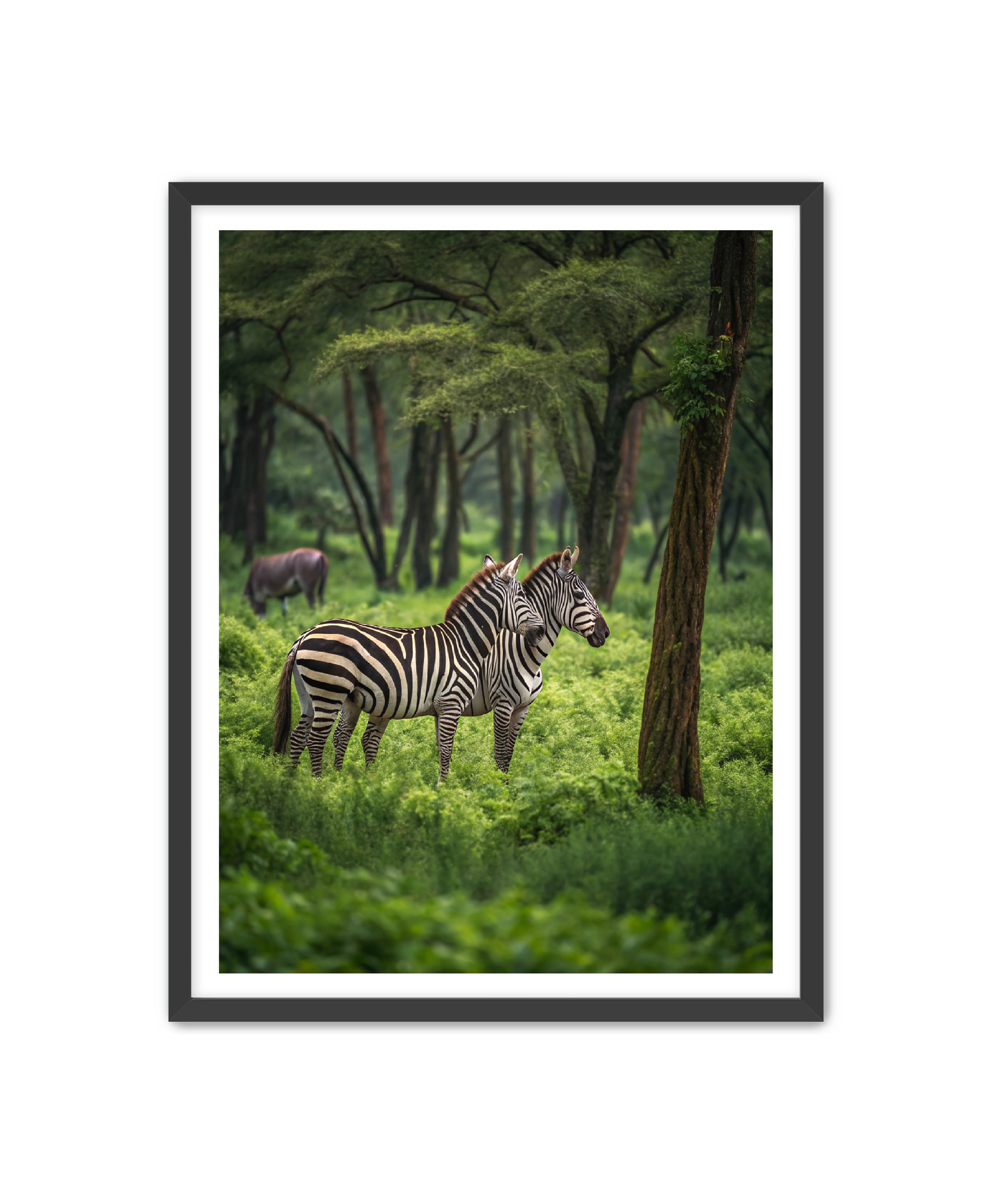 Apricus Prints 'On The Lookout' Apricus Art Collection