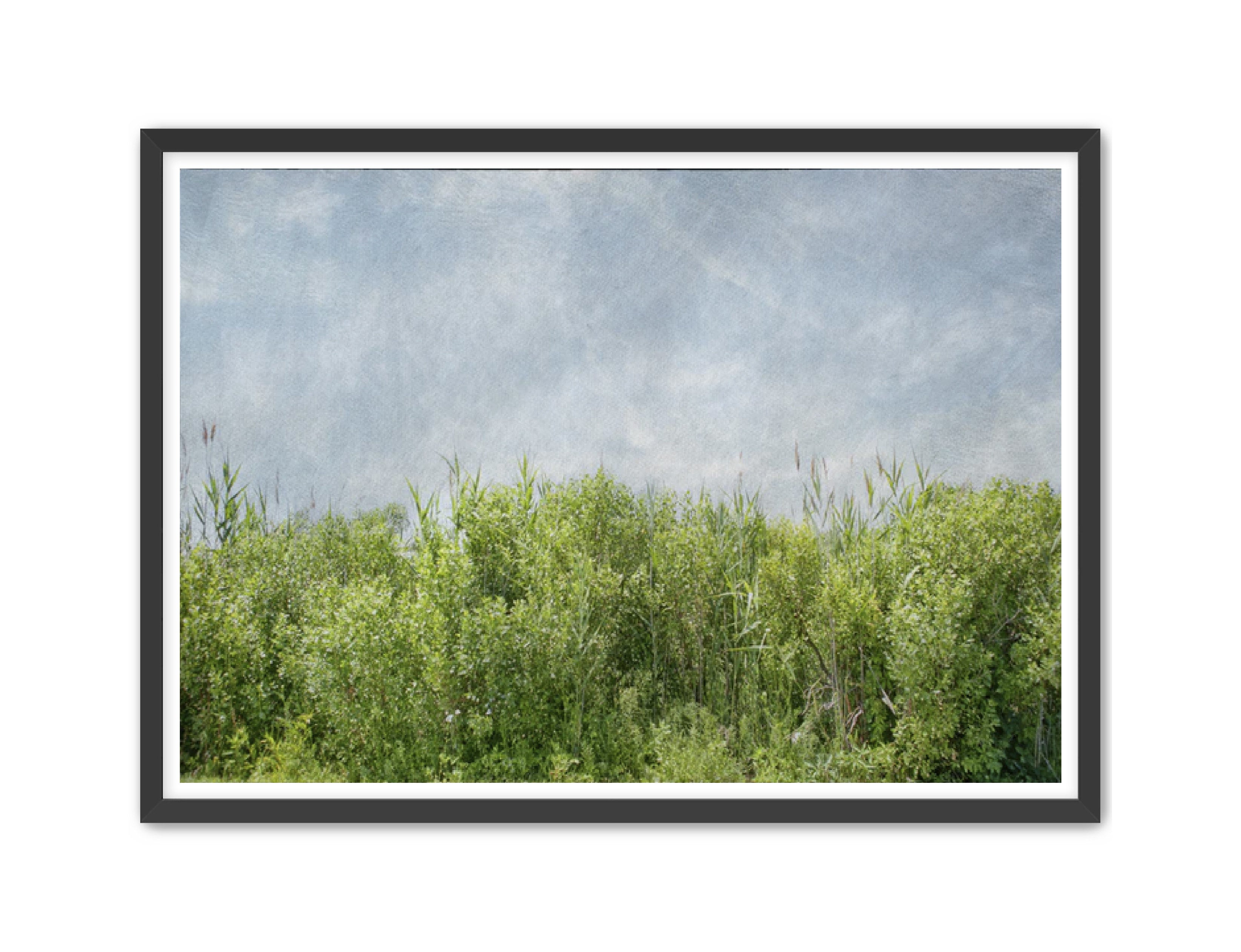 PhotoArt Prints 'BEACH BRIAR' Danielle Neumann Kelly