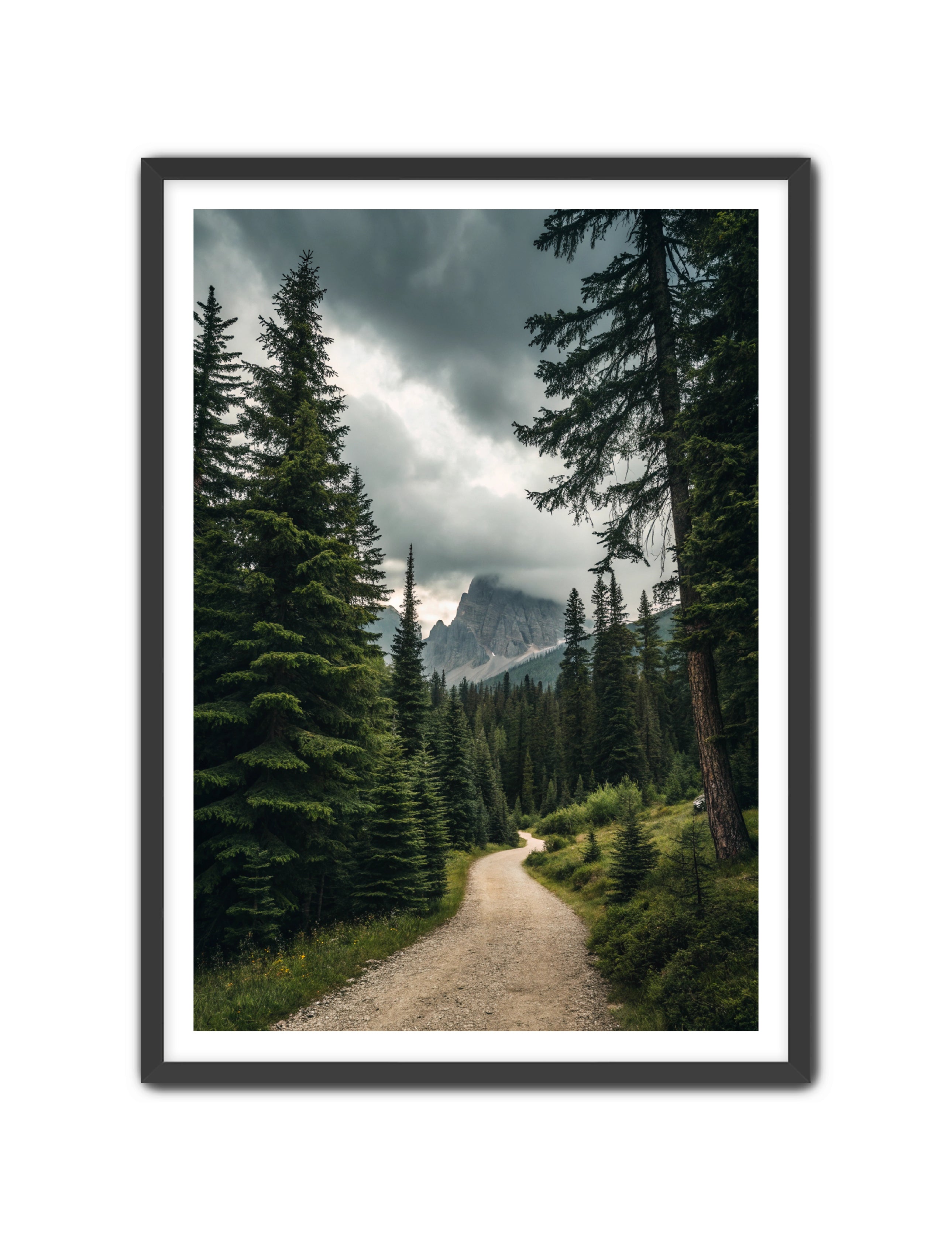 Apricus Prints 'Path to the Peaks' Apricus Art Collection