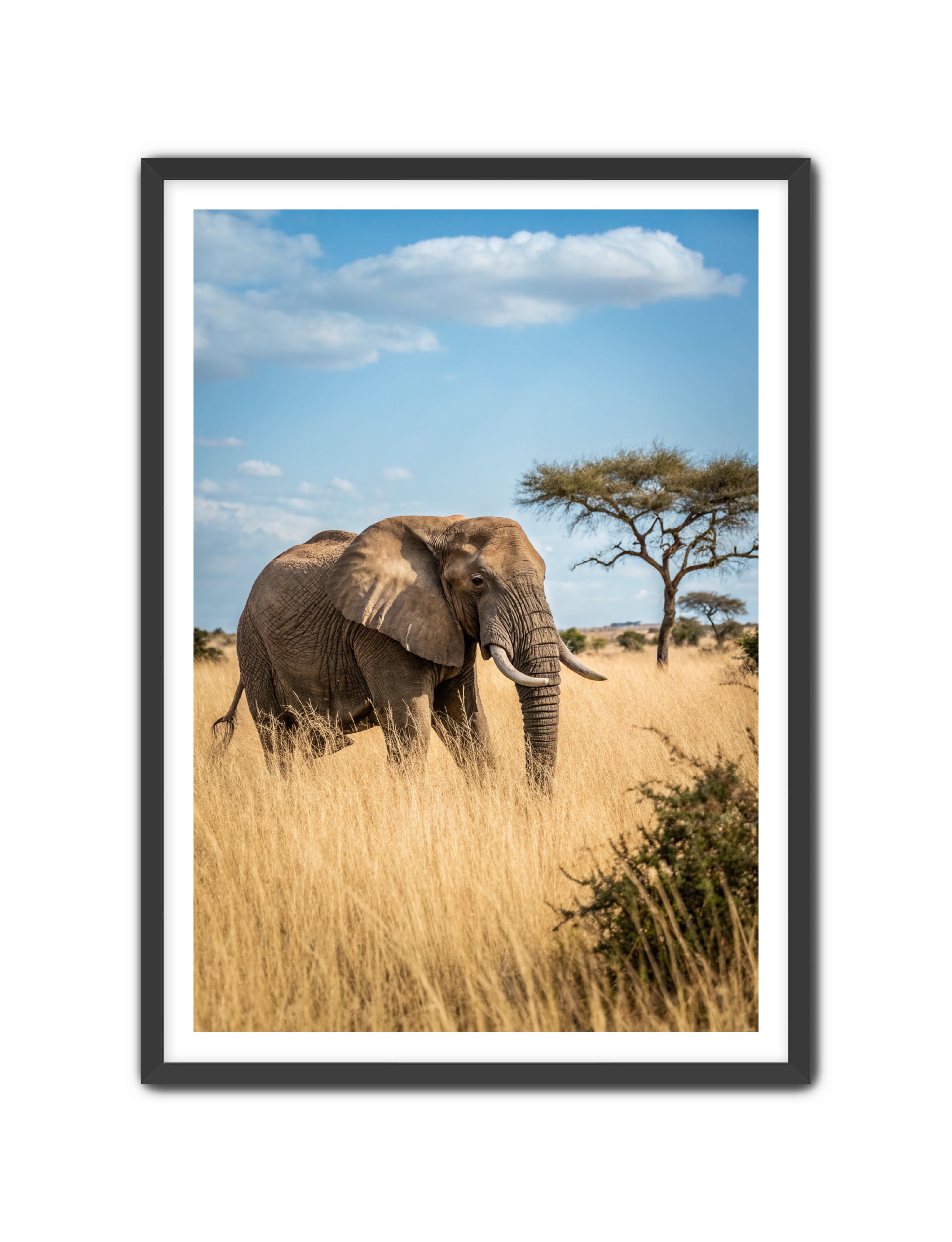 Apricus Prints 'Ellie, The Gentle Giant' Apricus Art Collection