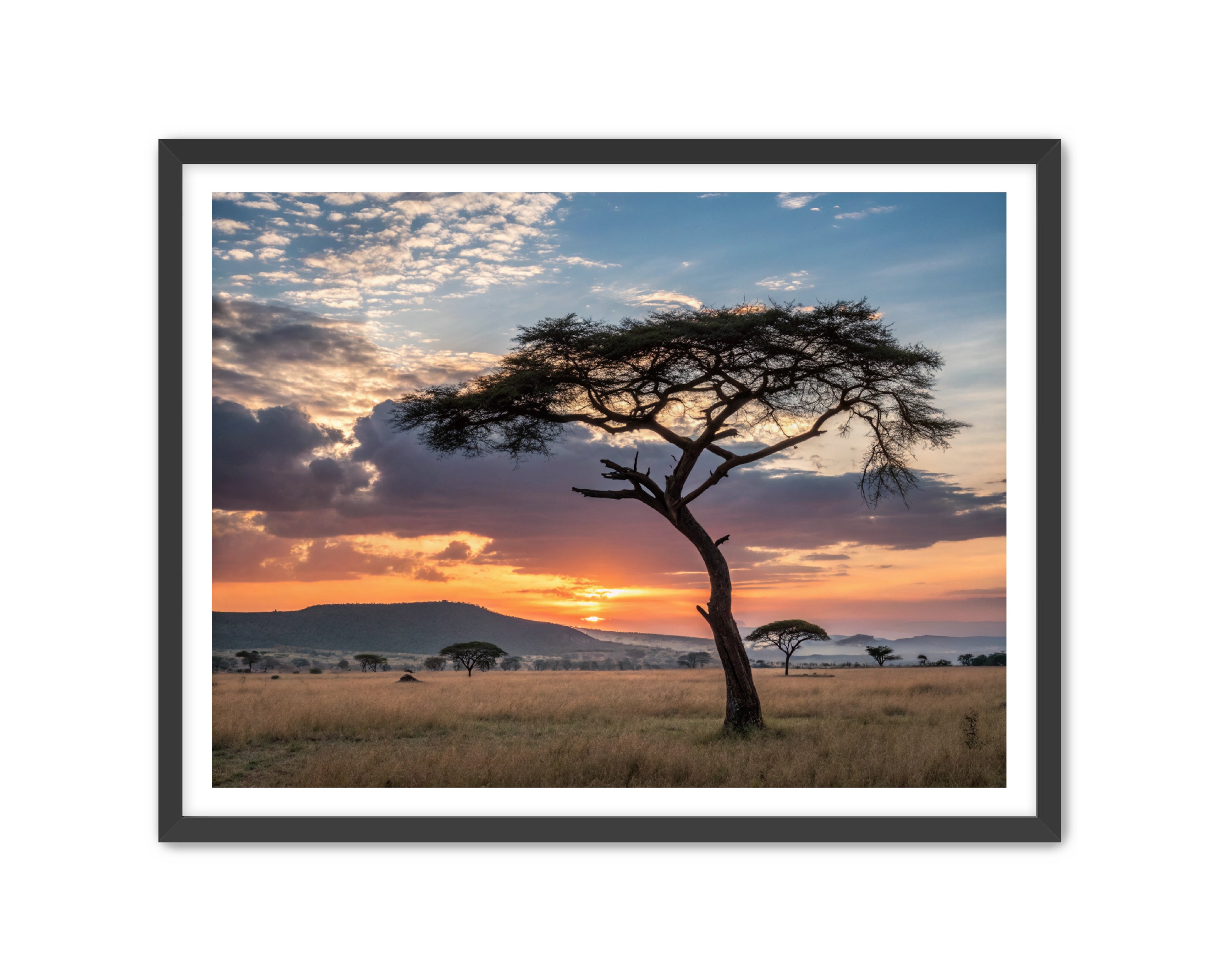 Apricus Prints 'Sunset on the Grounds' Apricus Art Collection