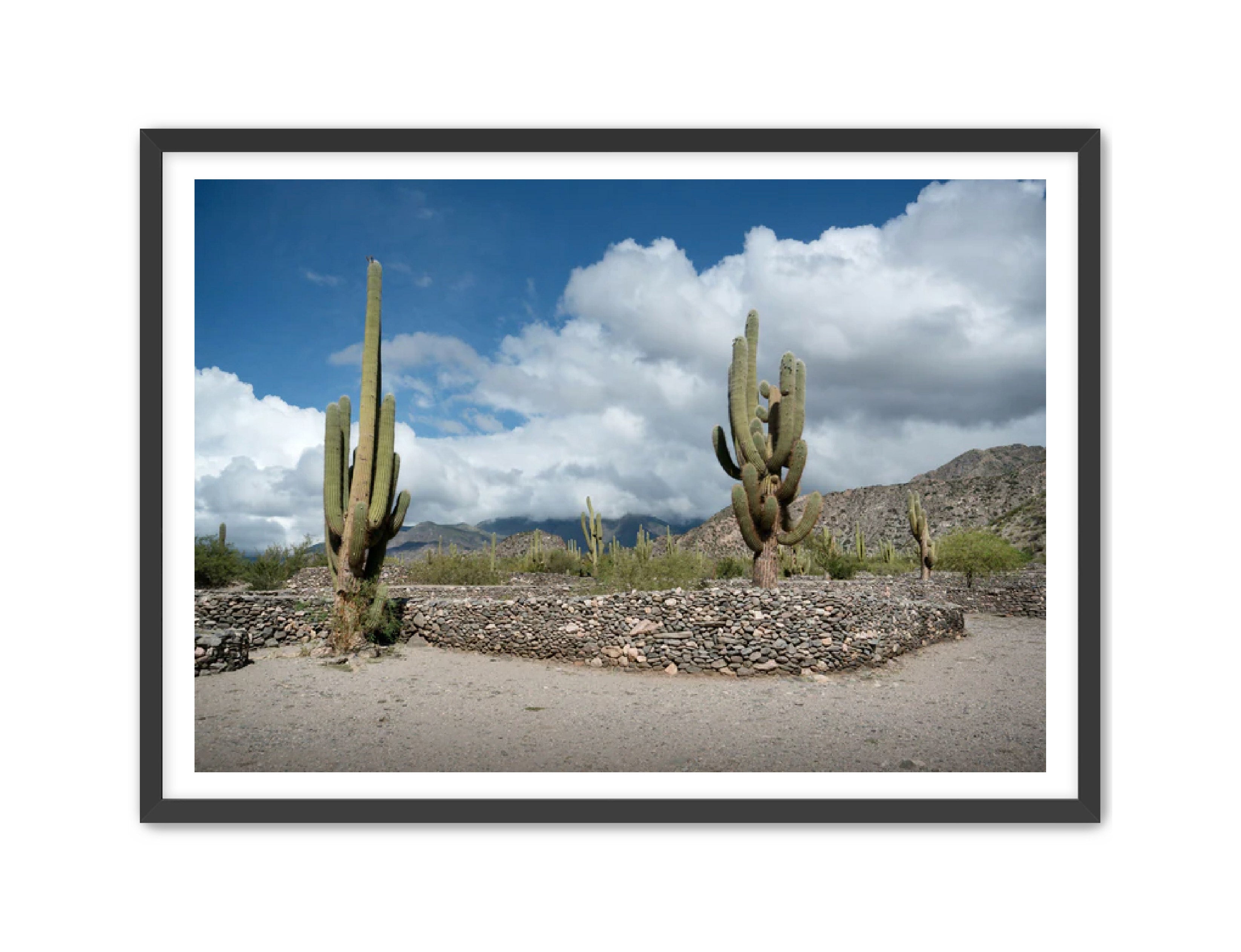 Landscape Photography Prints 'Cactus on the way' Aline Karagozlu