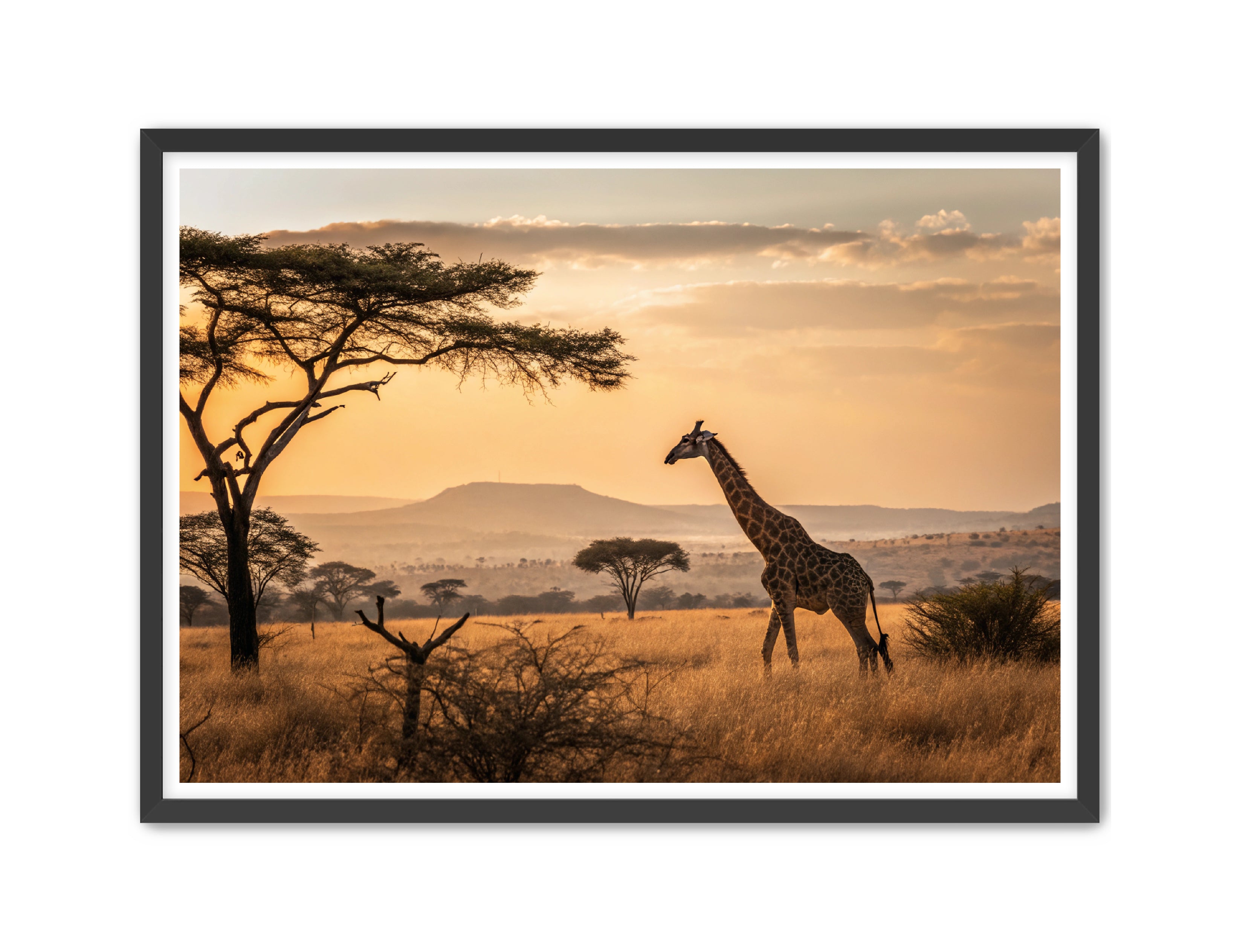 Apricus Prints 'Homeward Bound' Apricus Art Collection