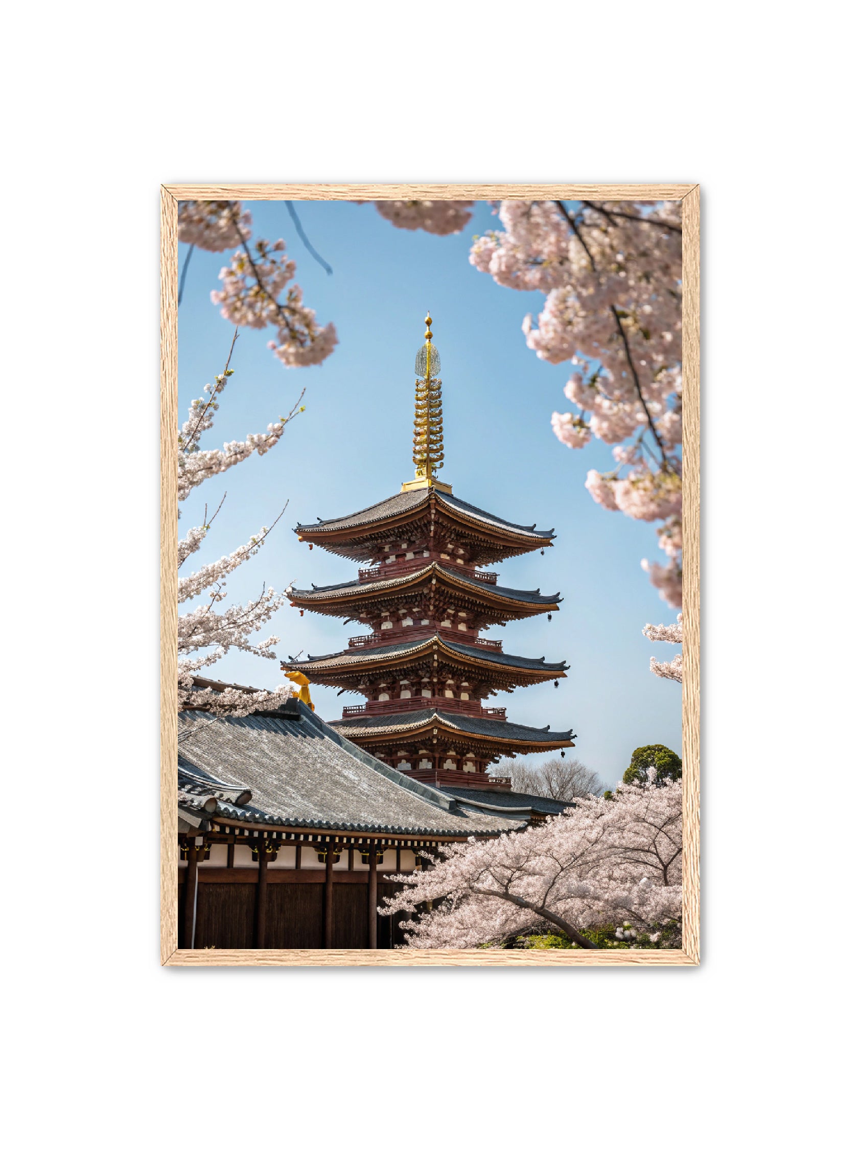 Apricus Prints 'Blossom Fortress' Apricus Art Collection