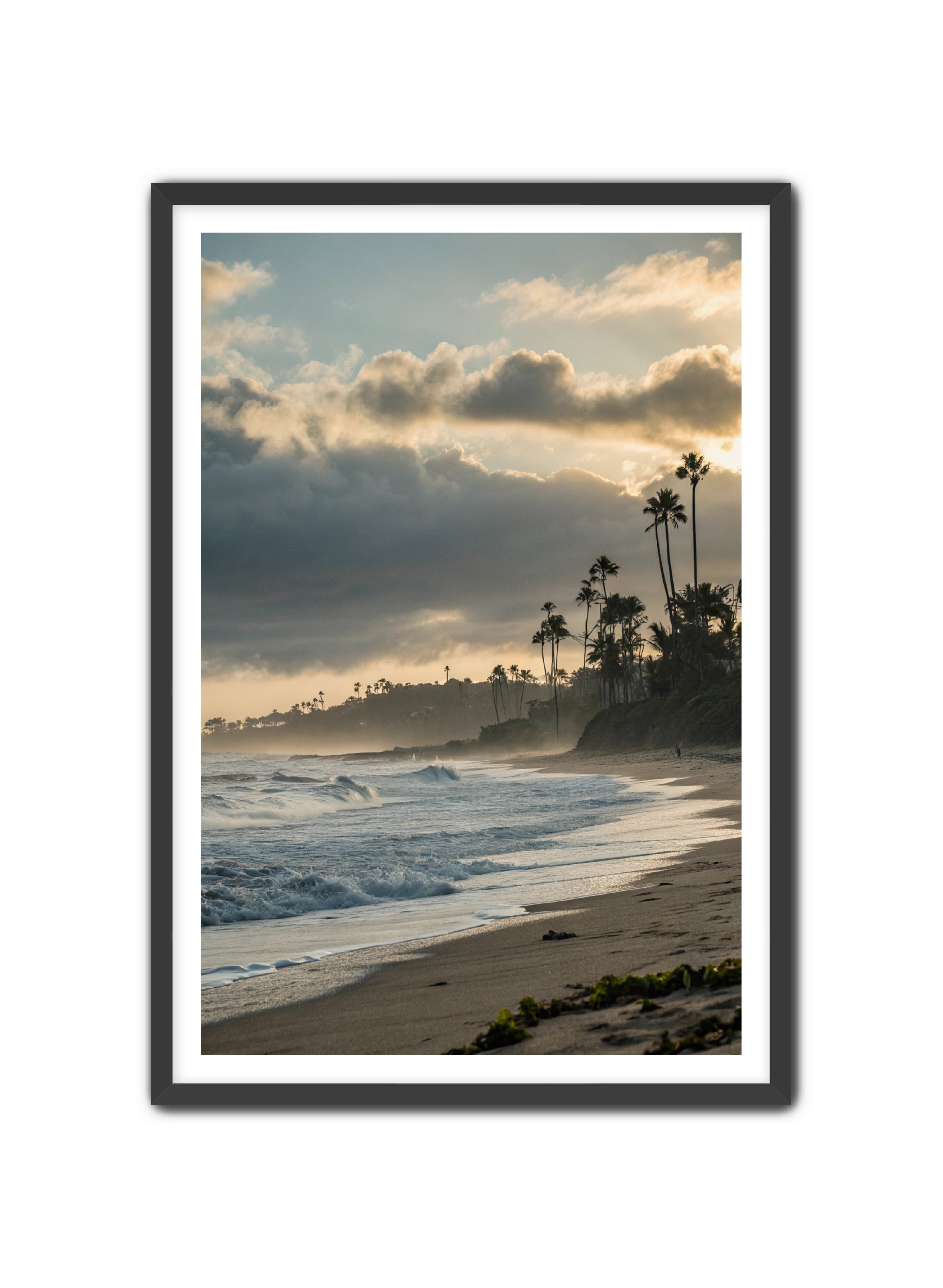 Apricus Prints Beaches 'Coastal Echoes' Apricus Art Collection