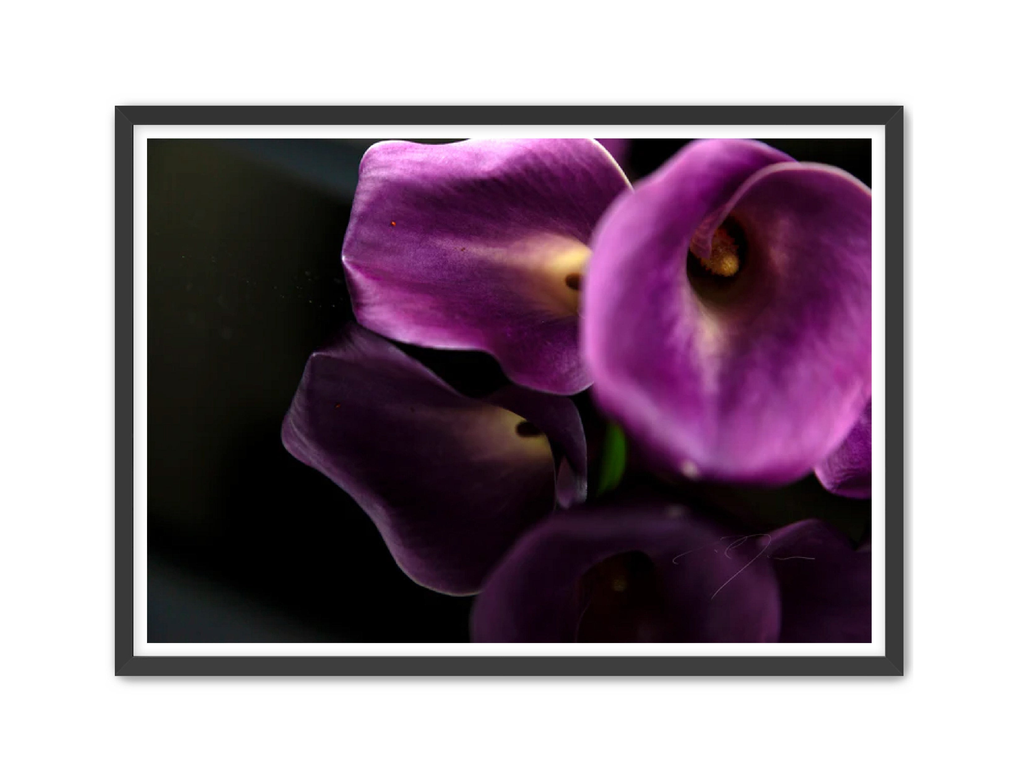 Art Contemporary Photography Prints 'EMULATE' - Photography Eric C. Jackson Studio