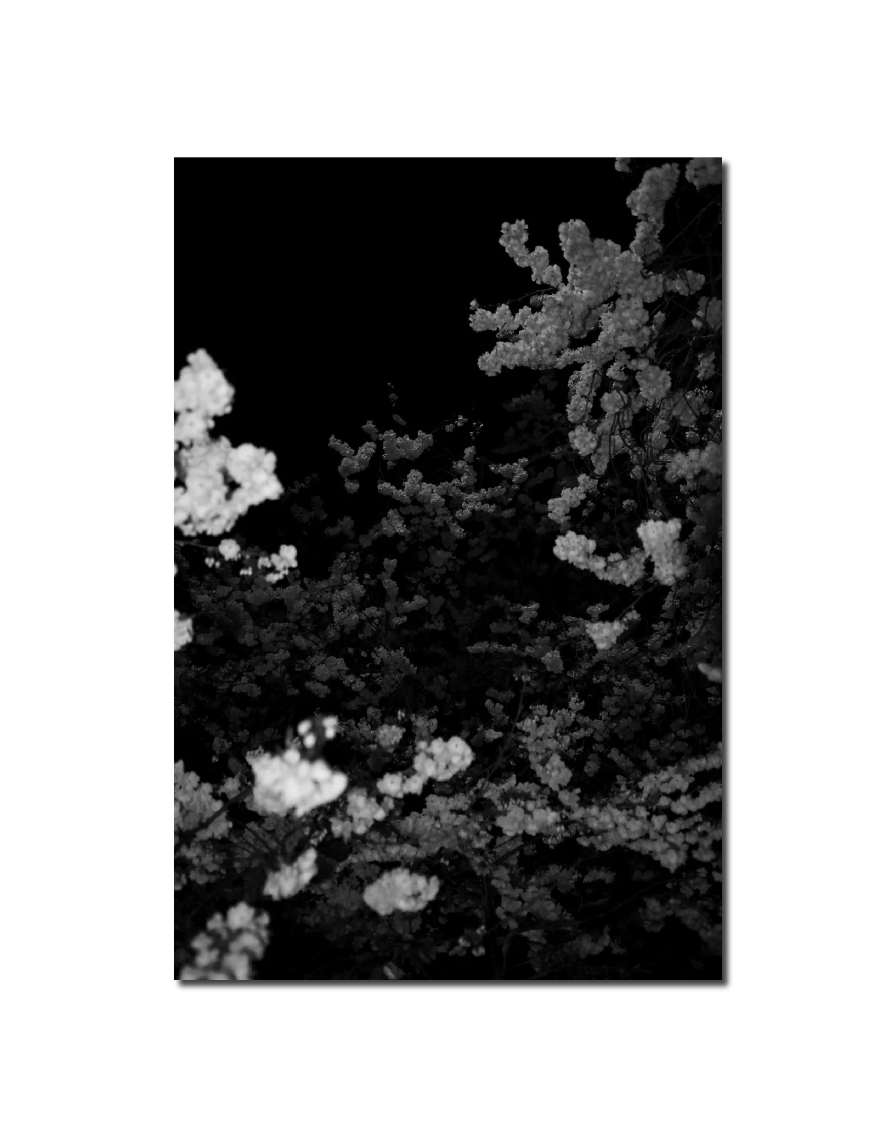 'GRADIENT LOSS - 22ND OF MARCH 2025 (23:36)'